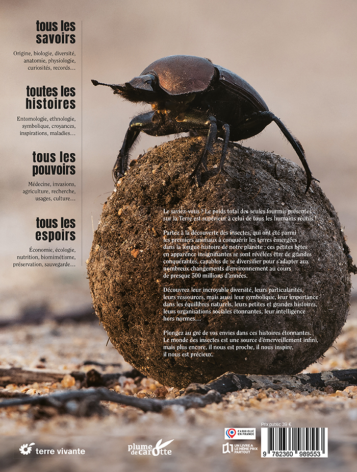 Insectes - Nicolas Césard, Dinier Bruno, Bruno Didier - TERRE VIVANTE