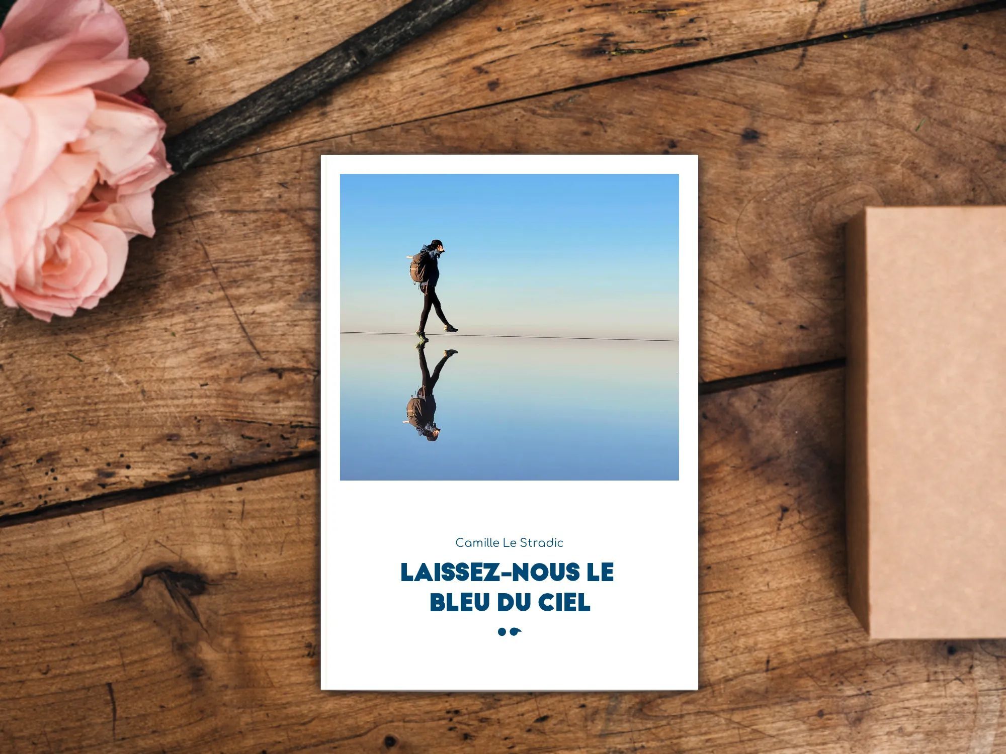 Laissez-nous le bleu du ciel - Camille  Le Stradic	 - POESIE IO