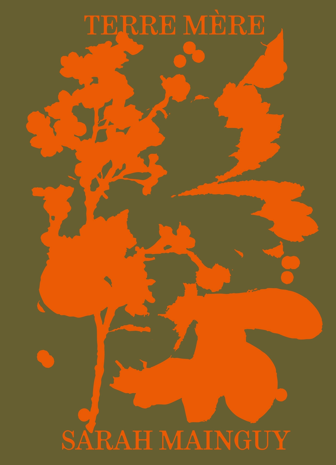 Terre Mère - SARAH MAINGUY - HACHETTE PRAT