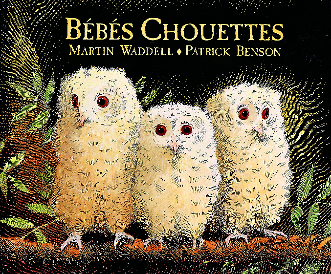 bebes chouettes - Martin WADELL - KALEIDOSCOPE
