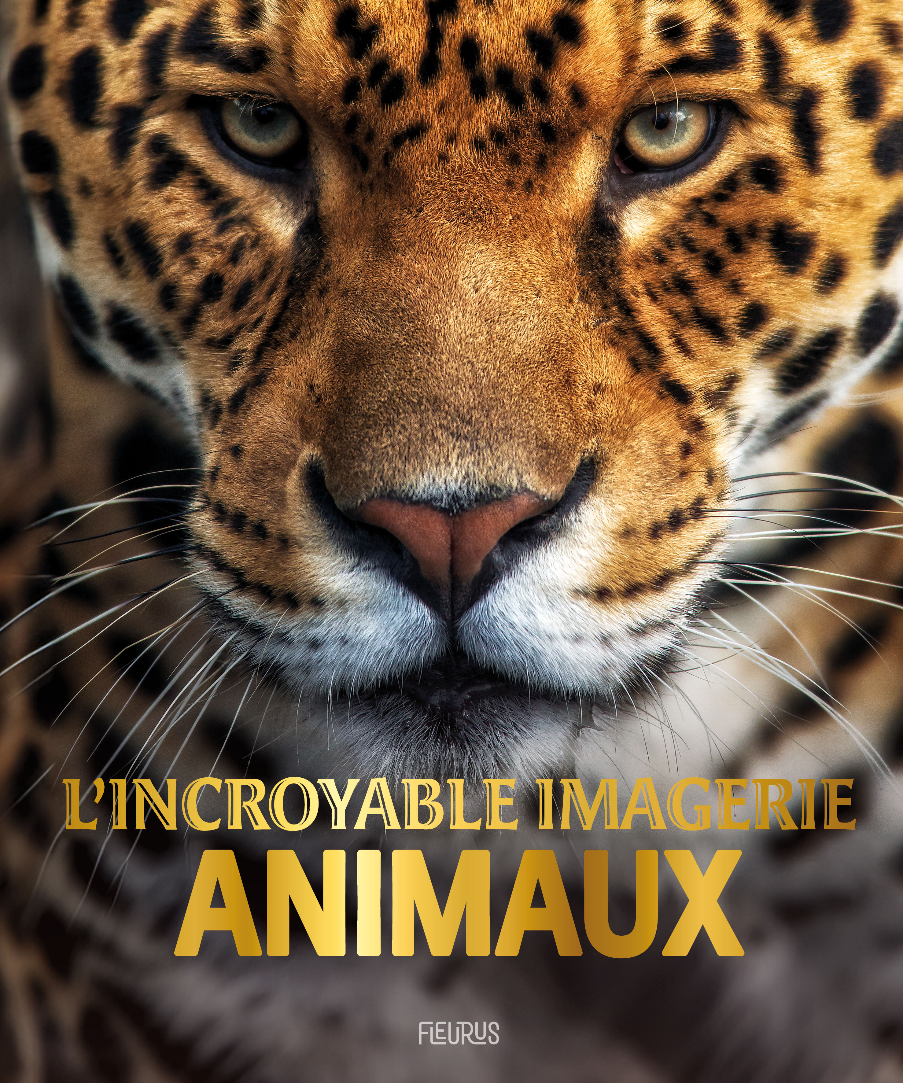 L'incroyable Imagerie animaux - Jamie Collins, Lisa Regan - FLEURUS