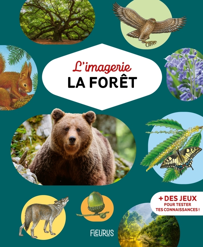 L'imagerie - La forêt - Marie-Renée Guilloret - FLEURUS