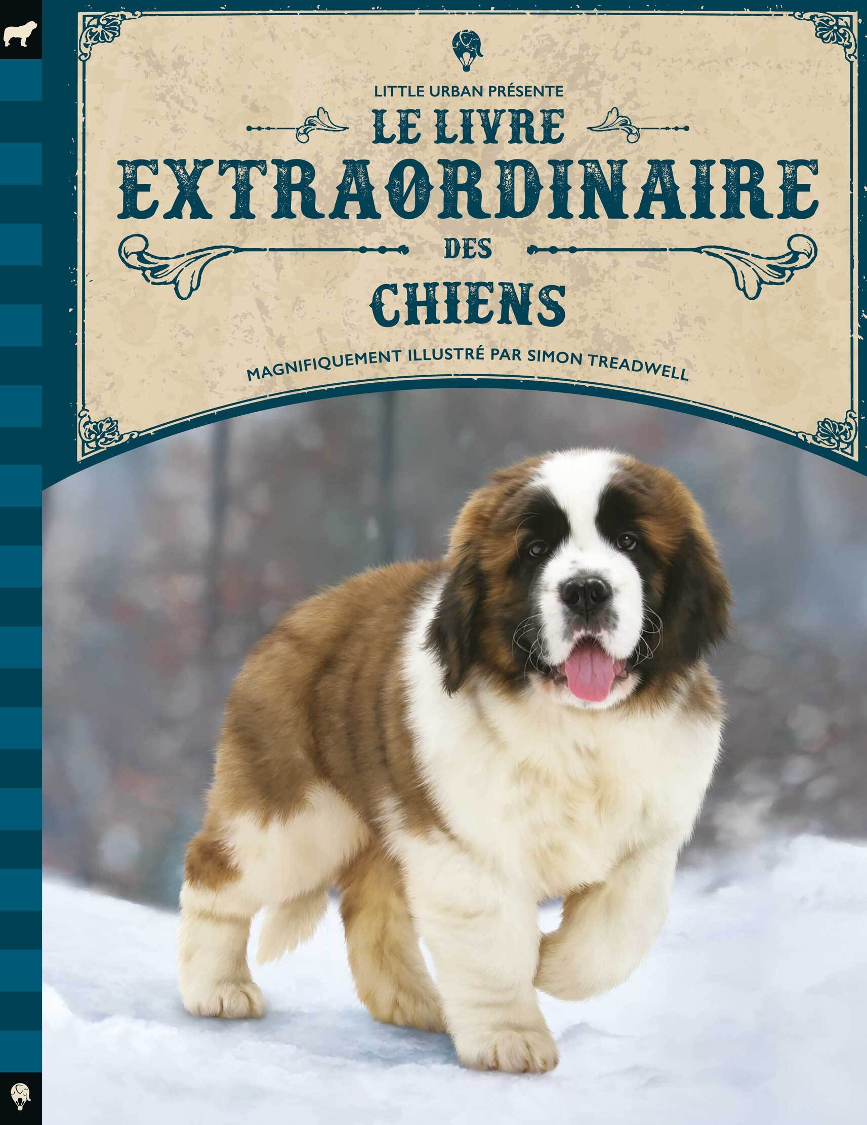 Le livre extraordinaire des chiens -  Dennis-Bryan Kim - LITTLE URBAN