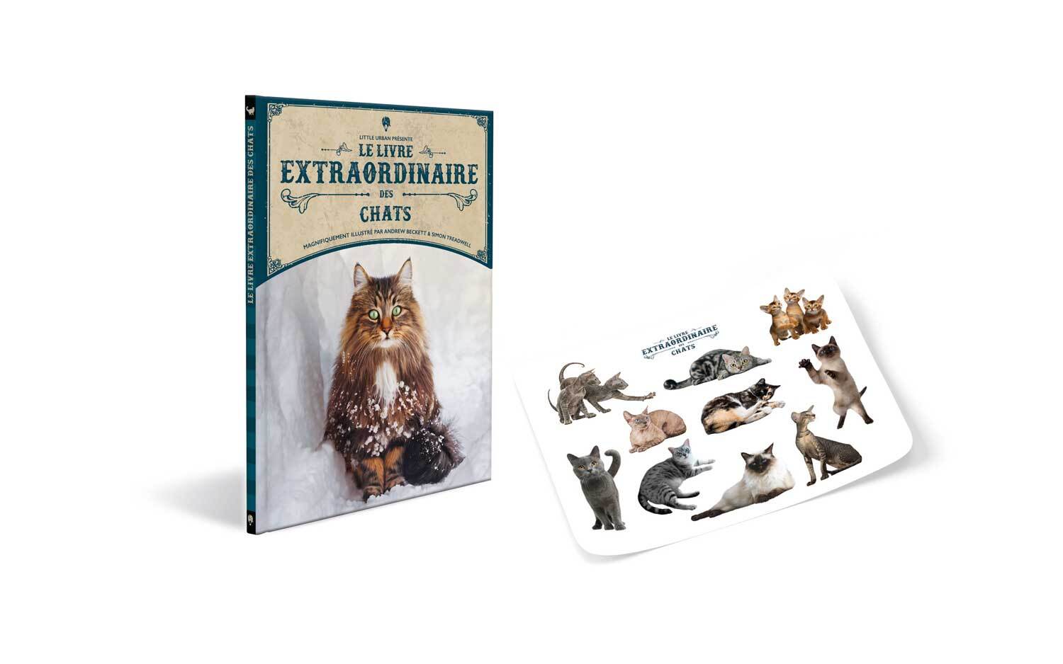Le Livre extraordinaire des chats -  Taylor Barbara - LITTLE URBAN