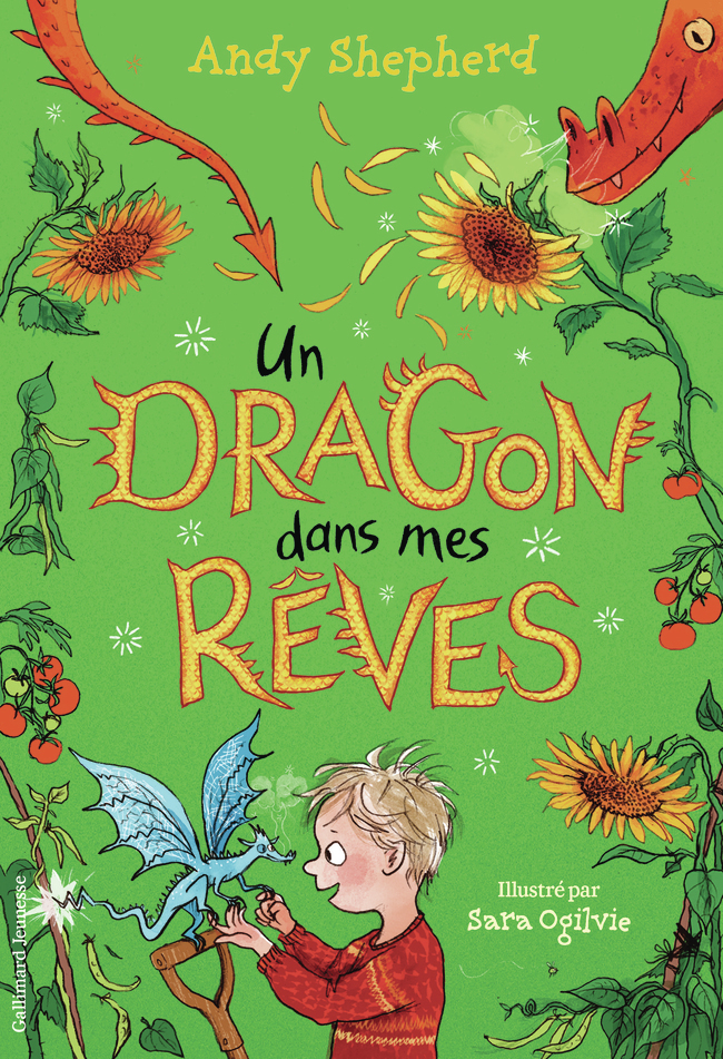 Un dragon dans mes rêves -  ANDY SHEPHERD, Andy Shepherd - GALLIMARD JEUNE