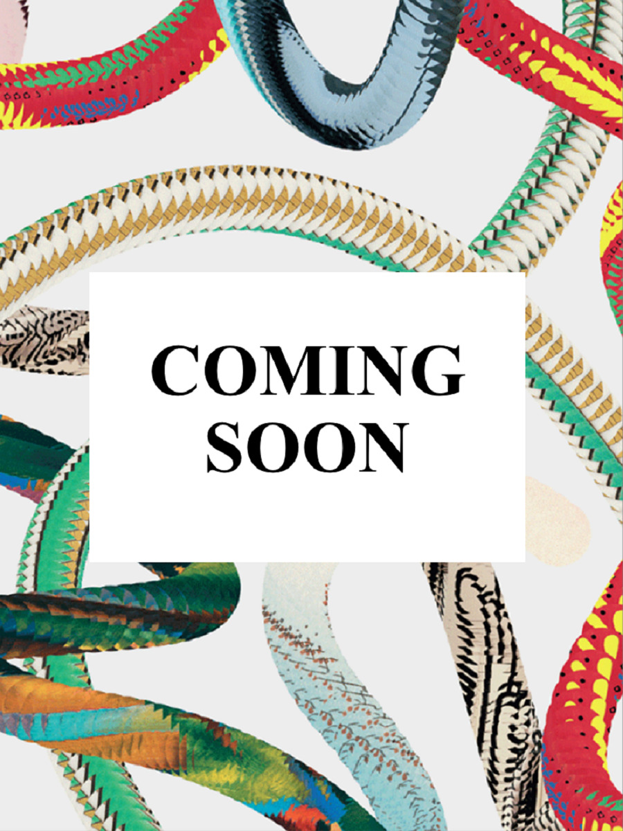 Marvel Comics Library. Fantastic Four. 1961–1963 - Mark Waid - TASCHEN