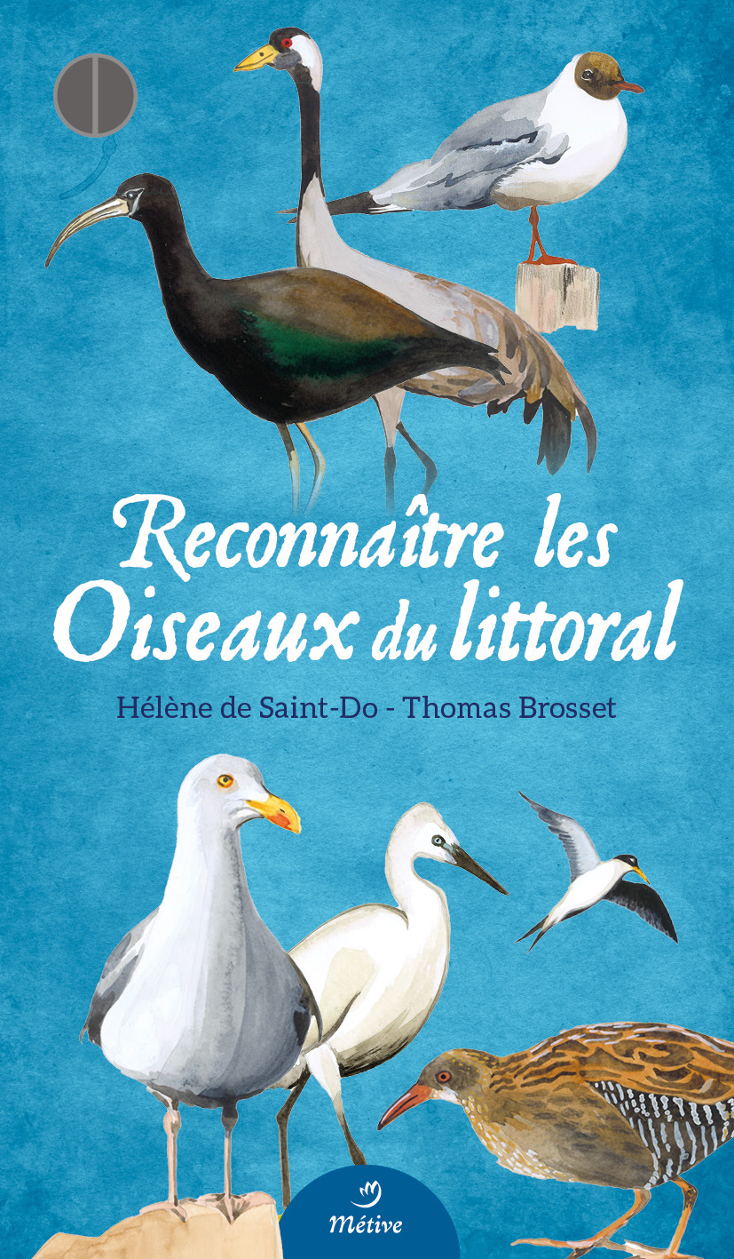 Reconnaître les oiseaux du littoral - Thomas Brosset, Audrey Zubanovic-Perfumo, Hélène de Saint-Do - METIVE
