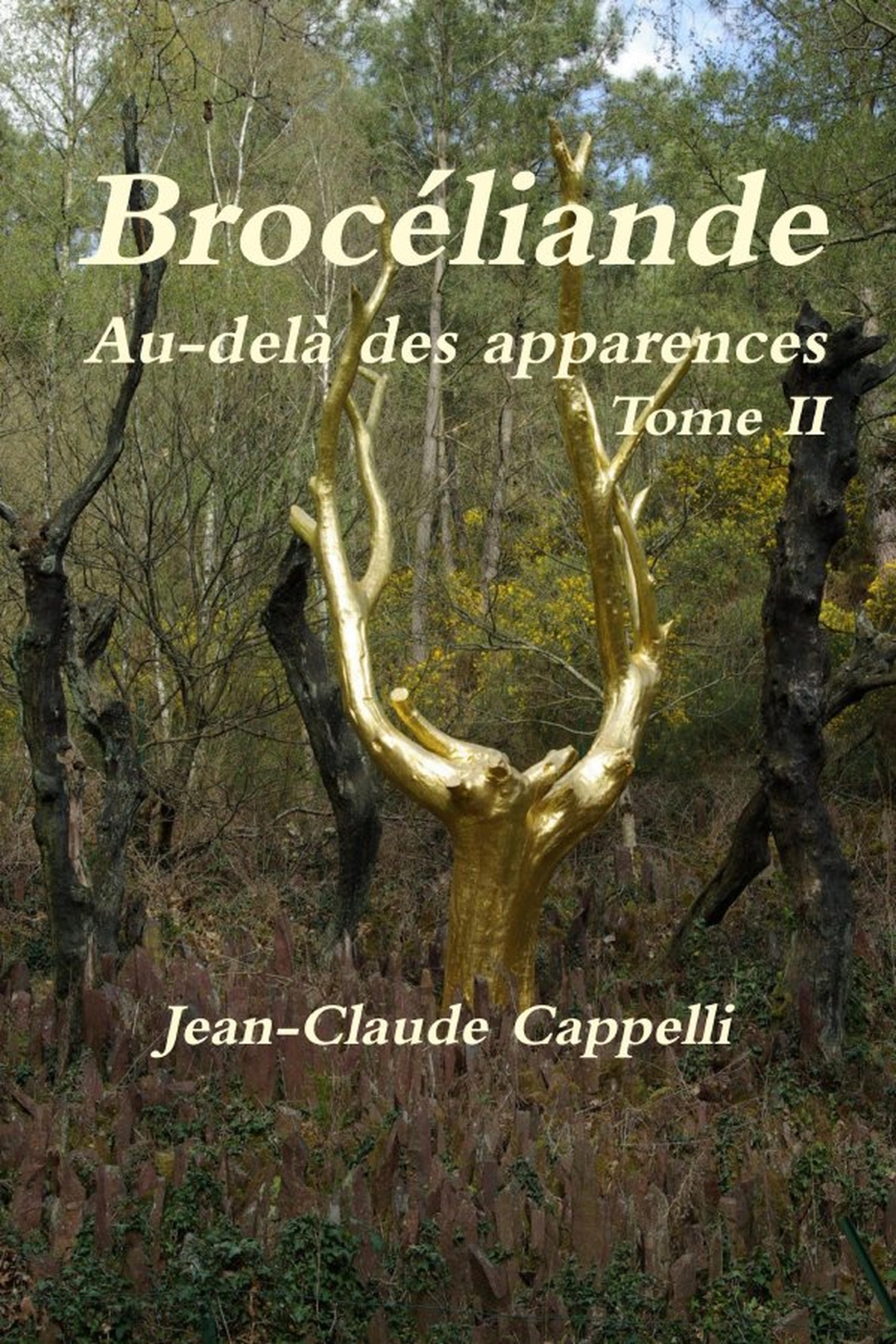Brocéliande Au-delà des apparences Tome II - Jean-Claude Cappelli, Cappelli Jean-Claude - LULU