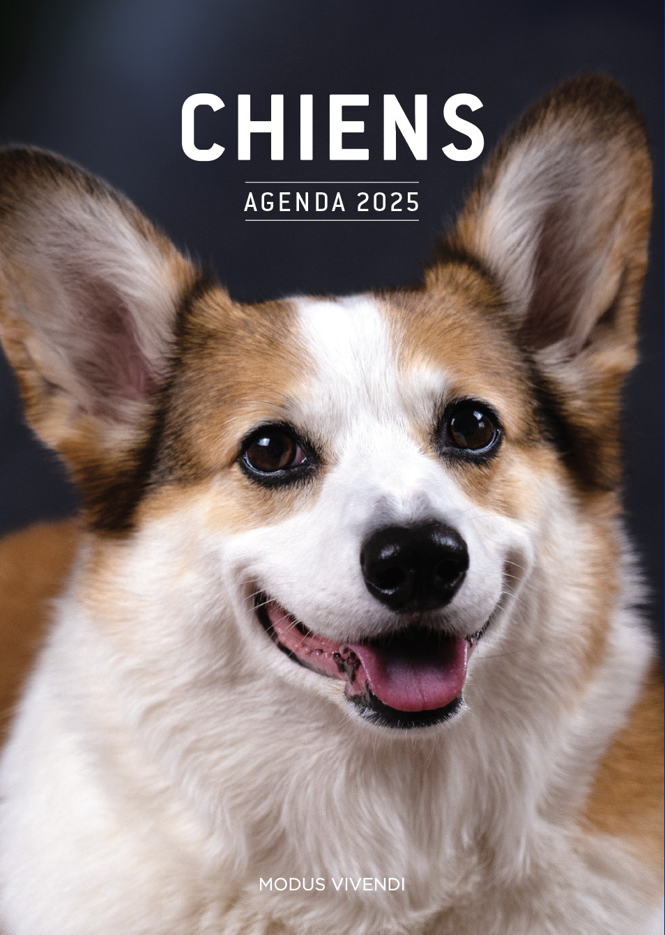 Chiens - Agenda 2025 -  Collectif - MODUS VIVENDI