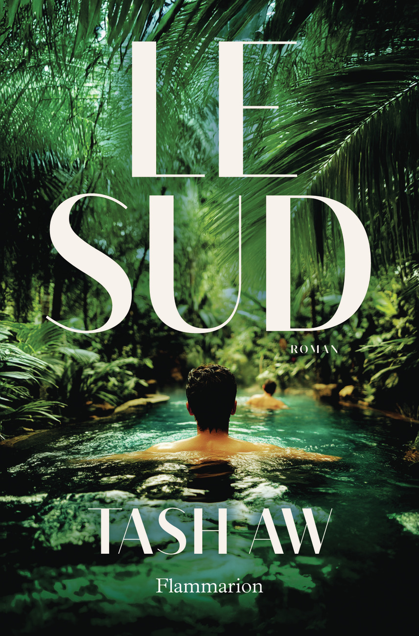 Le Sud - Tash Aw - FLAMMARION