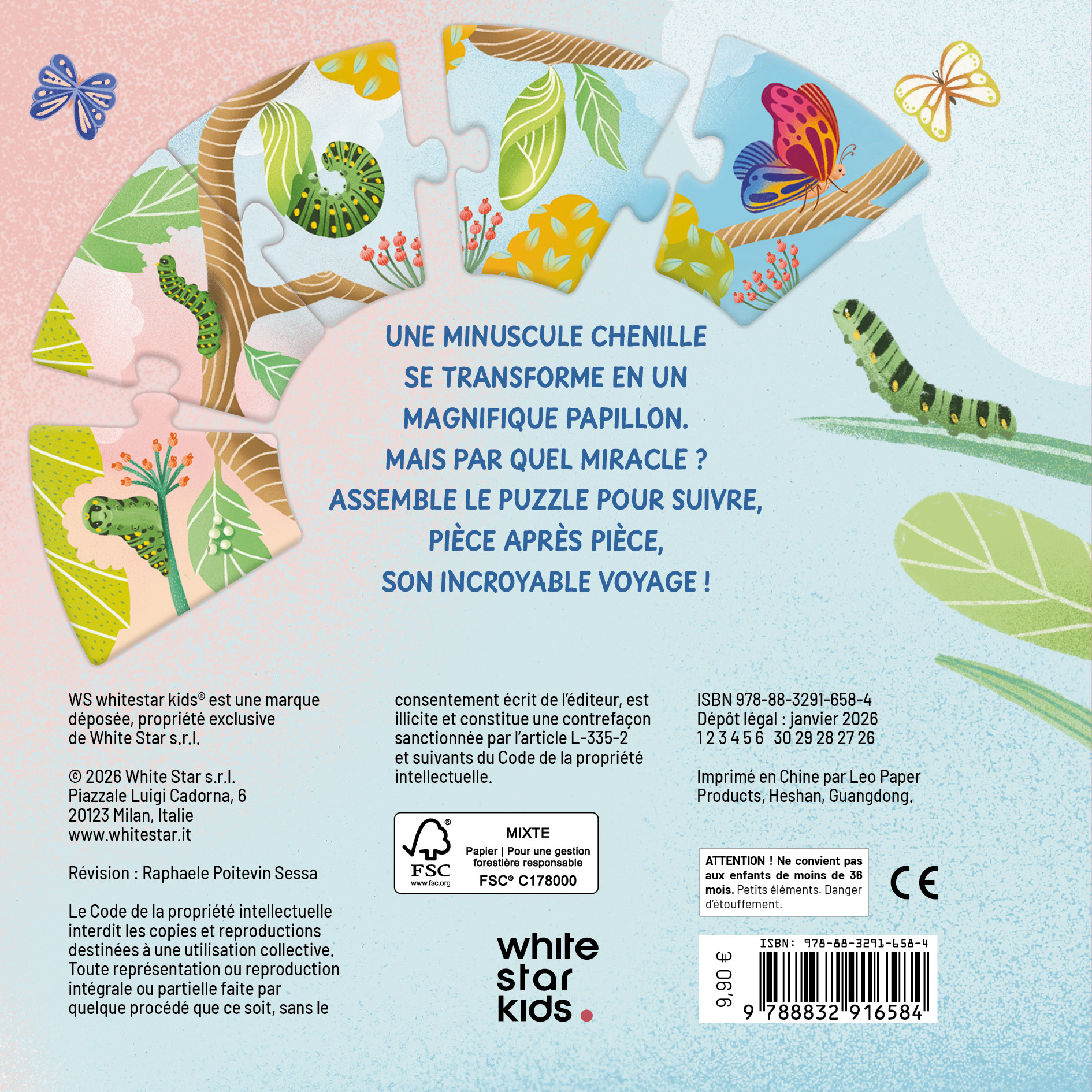 De la chenille au papillon - Ester Castelnuovo - WHITE STAR KIDS