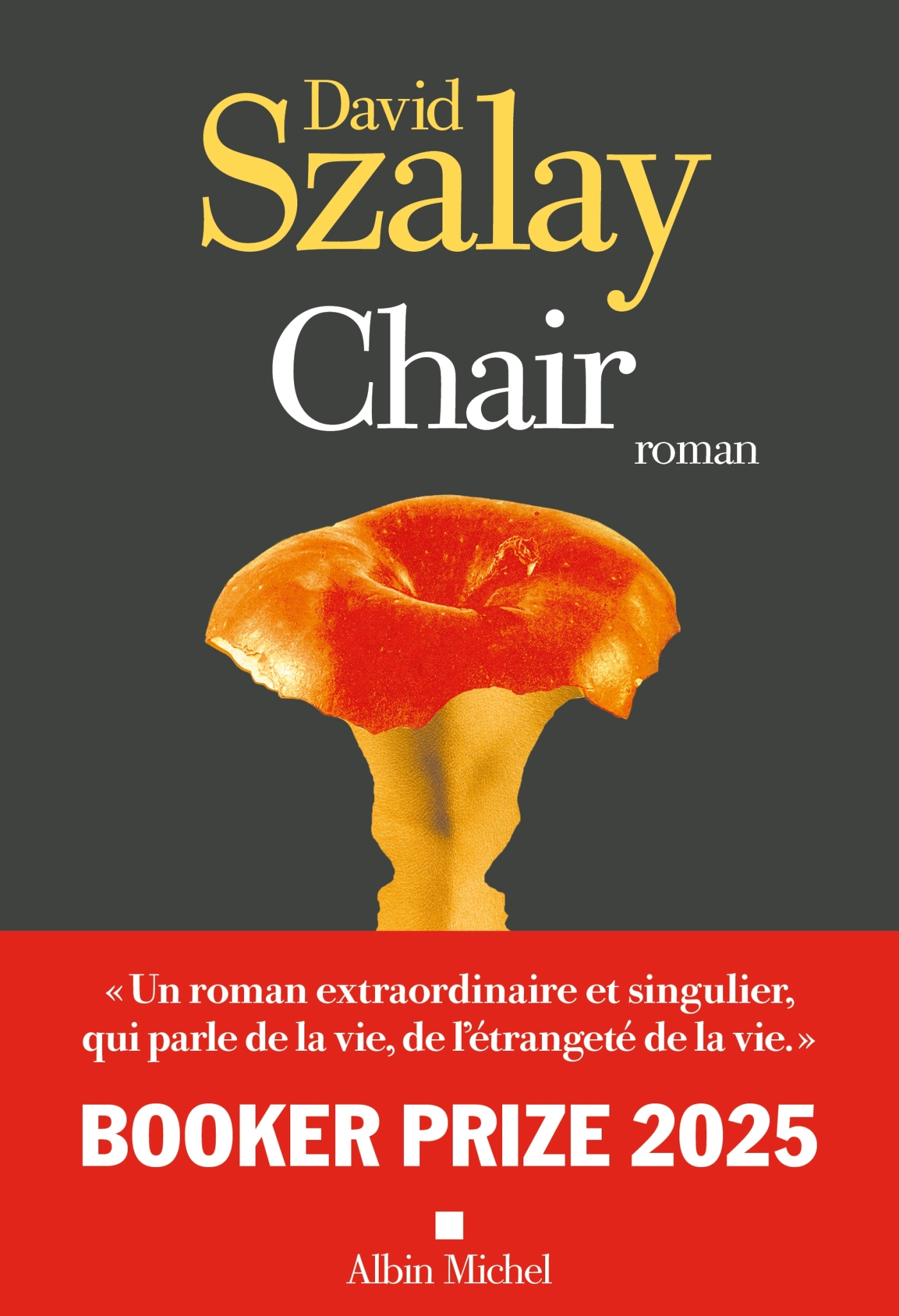 Chair - David Szalay - ALBIN MICHEL