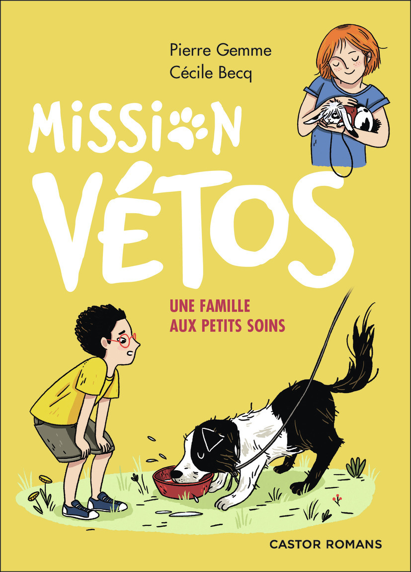Mission vétos - Une famille aux petits soins - Pierre Gemme - PERE CASTOR