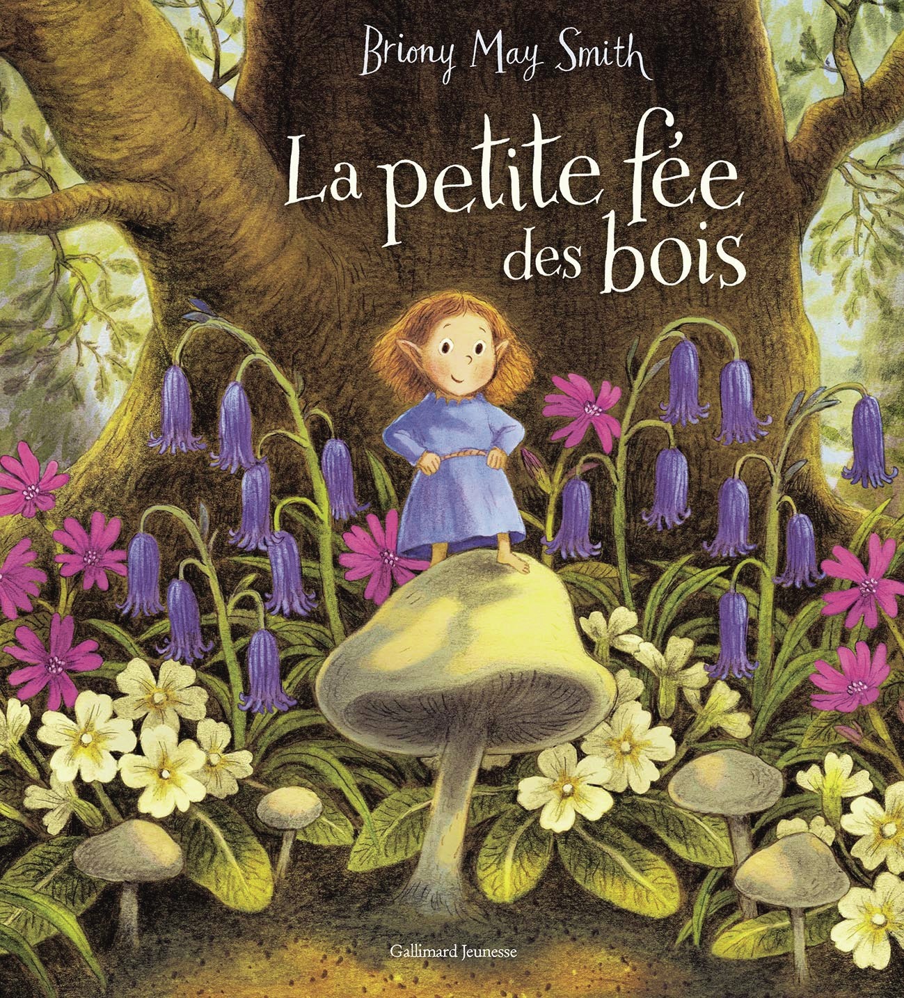 La petite fée des bois - Briony May Smith - GALLIMARD JEUNE