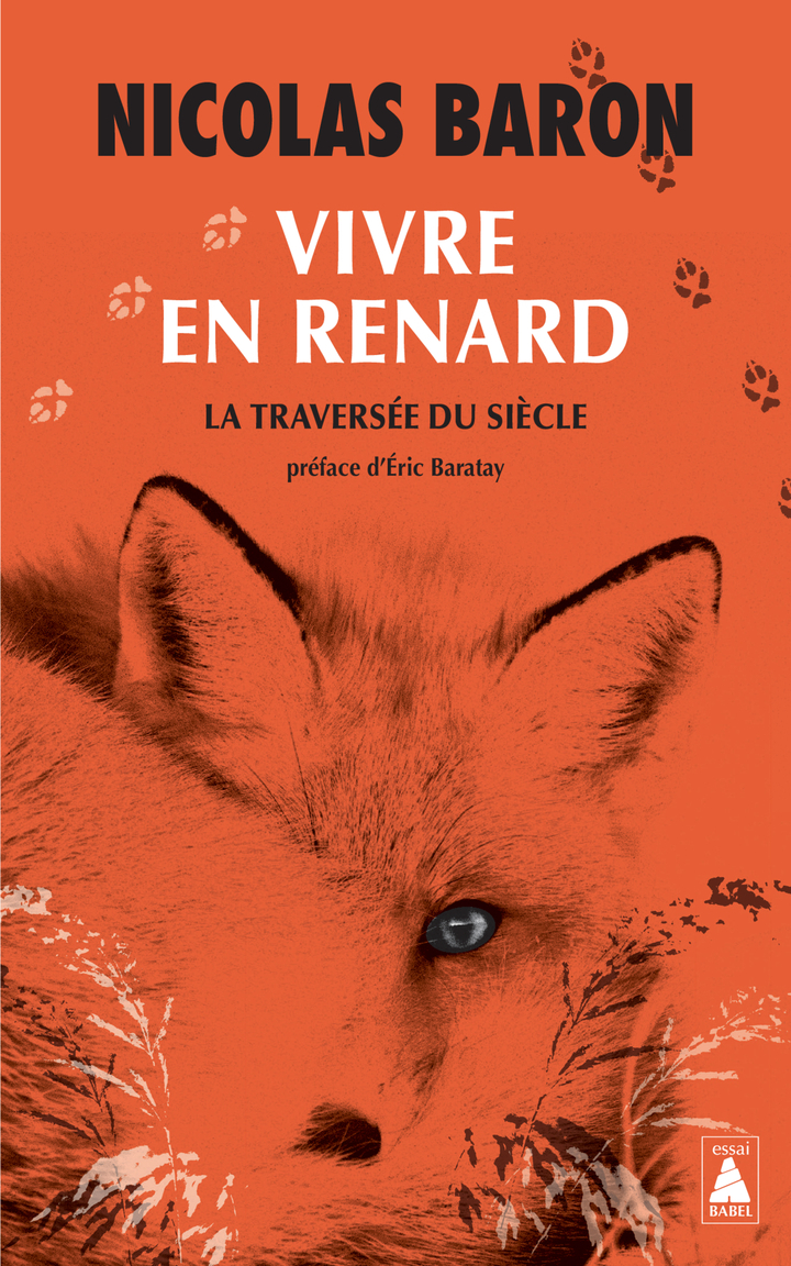 Vivre en renard - Nicolas Baron - ACTES SUD