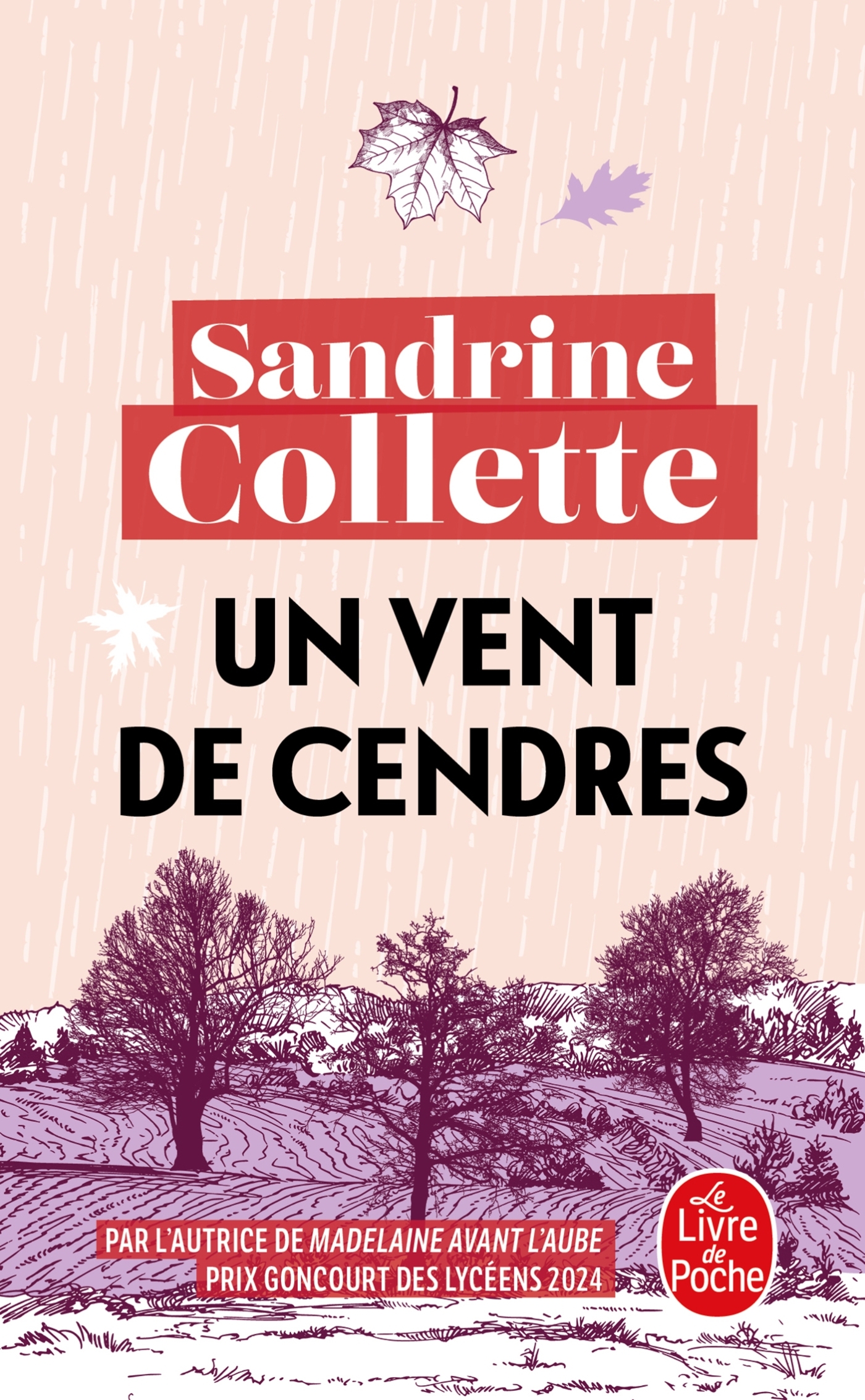 Un vent de cendres - Sandrine Collette - LGF
