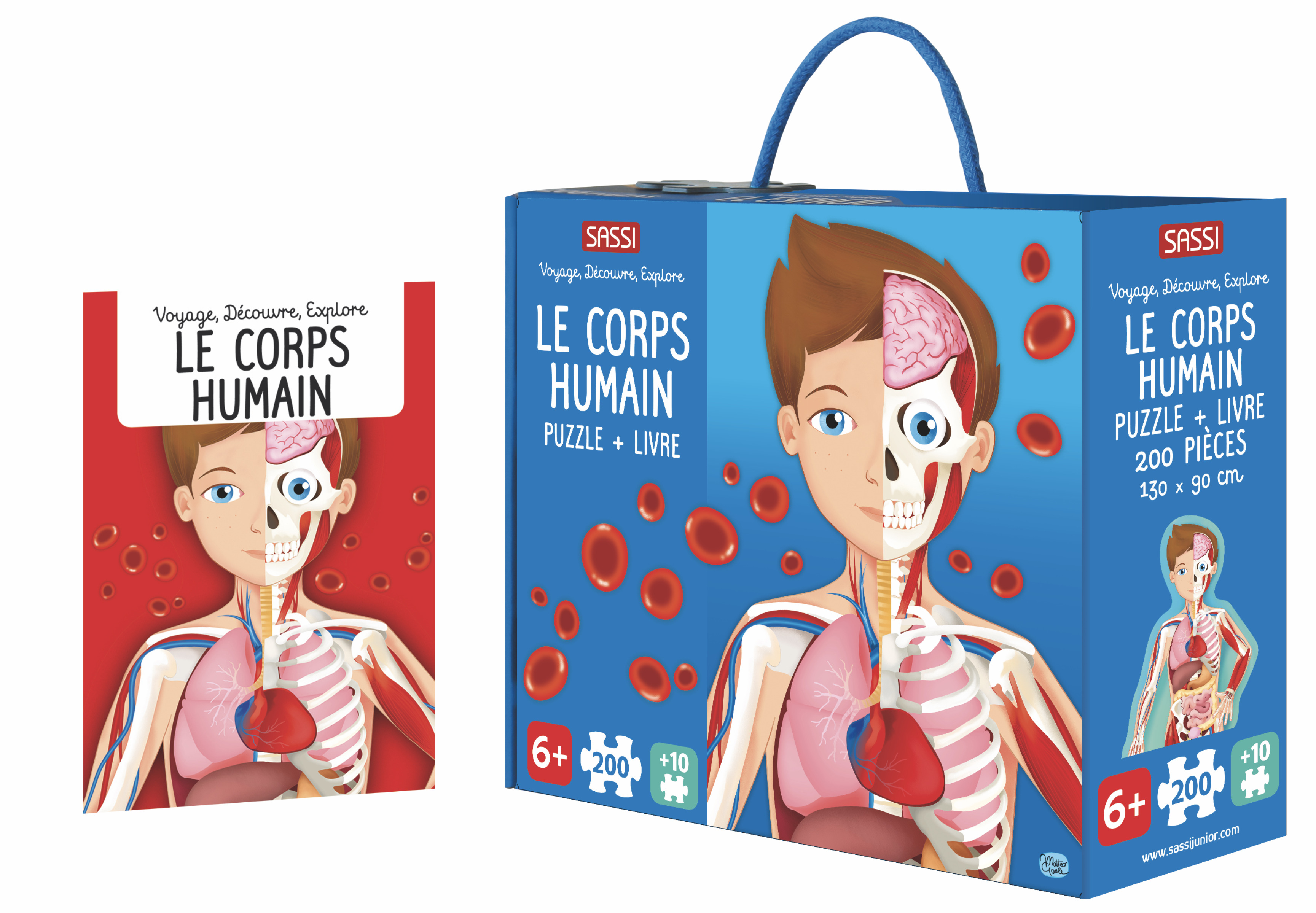 Voyage, découvre, explore. Le corps humain - nouvelle édition 2026 - Matteo Gaule - SASSI