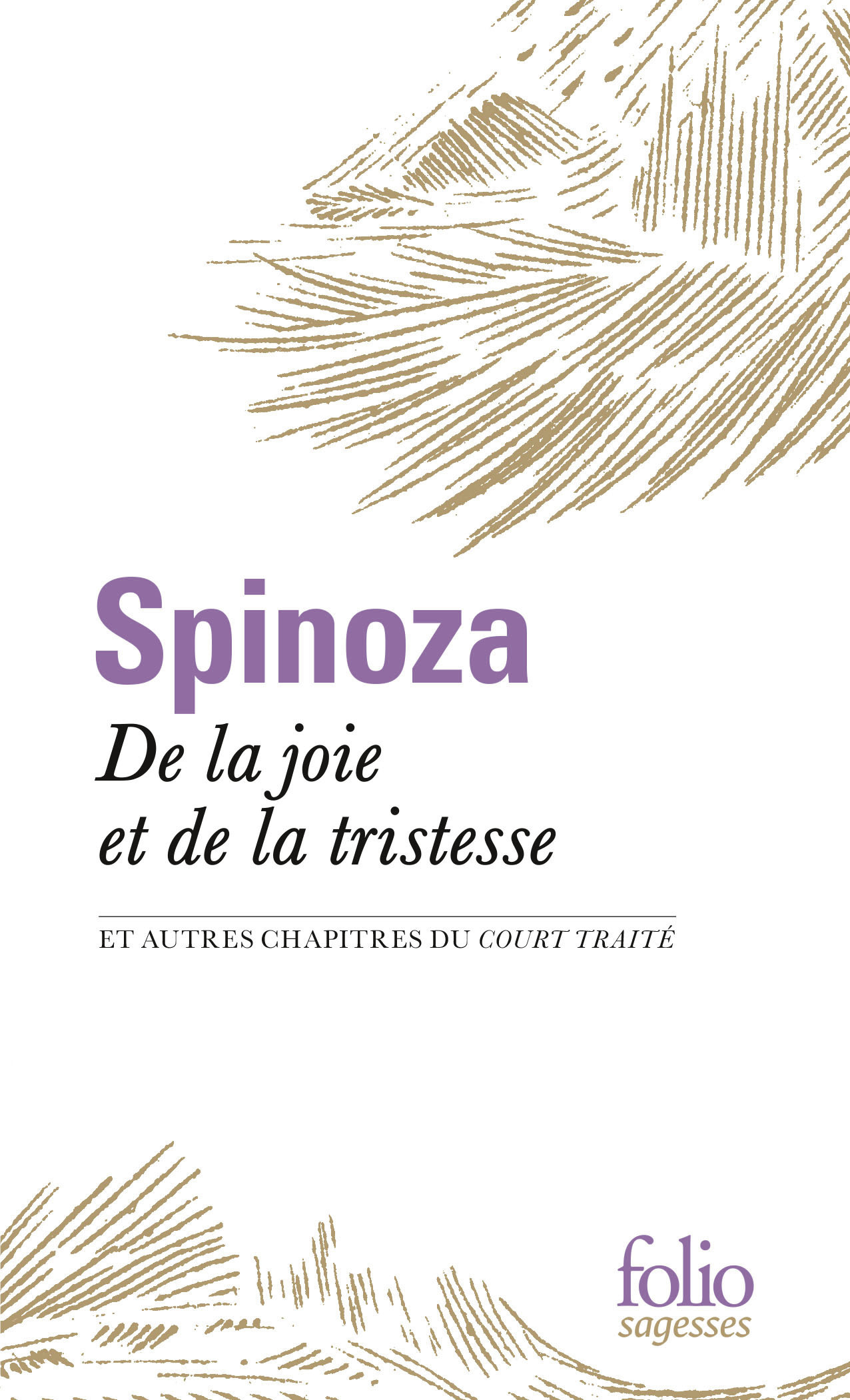 De la joie et de la tristesse - Spinoza Baruch,  Spinoza - FOLIO