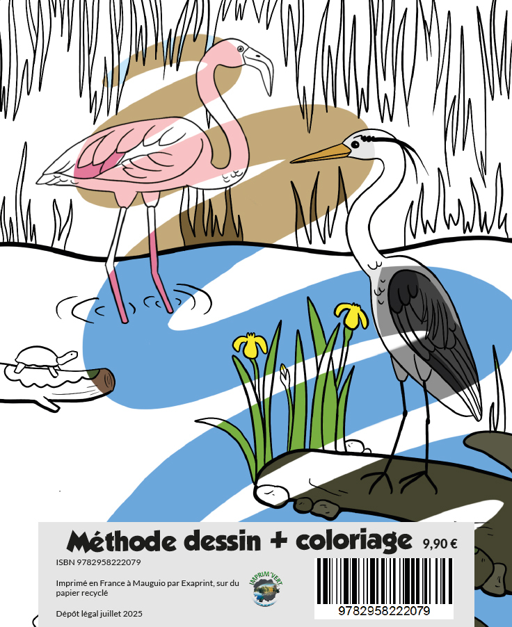 Apprendre à dessiner les oiseaux - Léna Kéohavong - MEDITERRANEUS