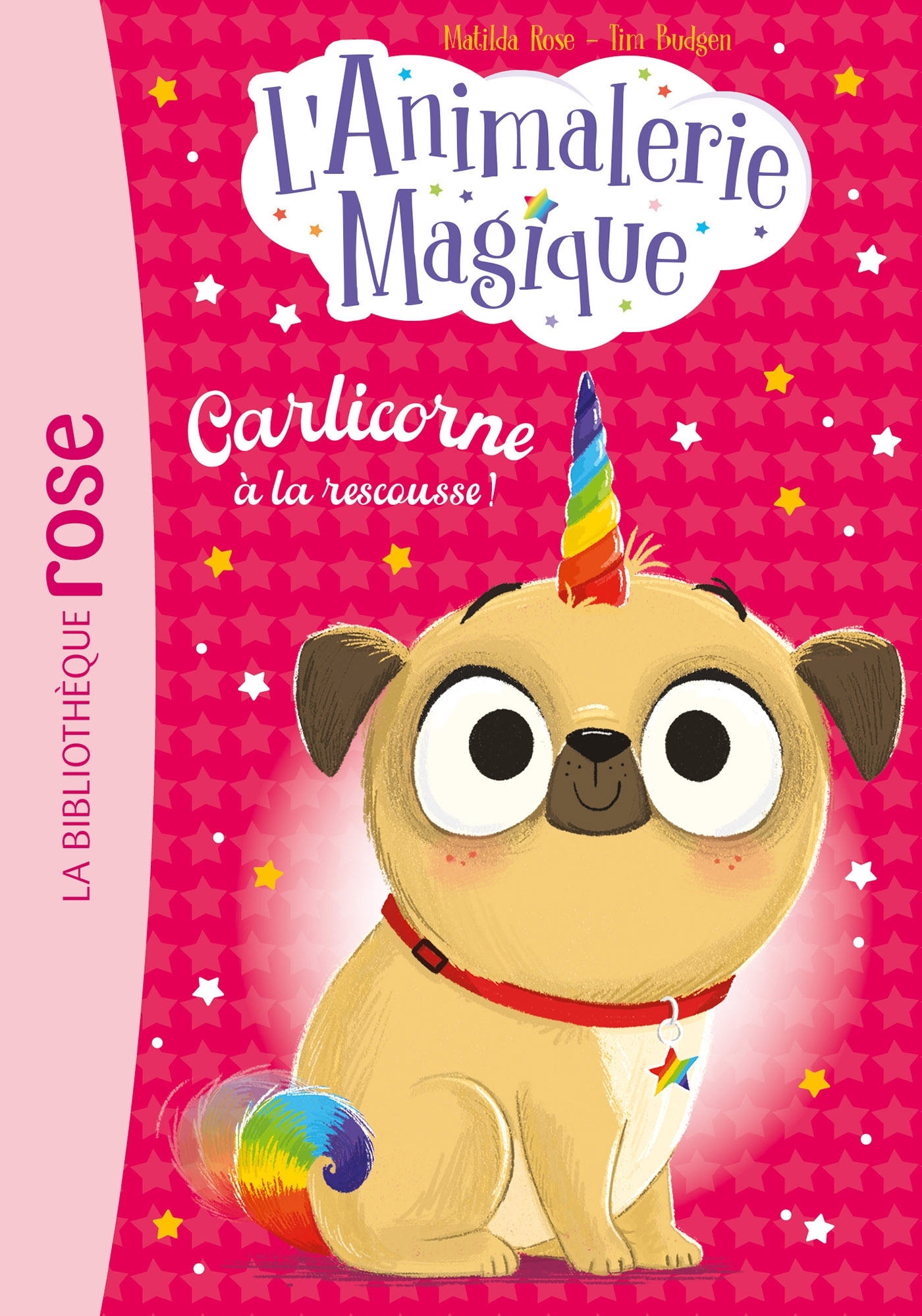 L'Animalerie magique, Tome 01 - Carlicorne à la rescousse ! - Matilda Rose - HACHETTE JEUN.