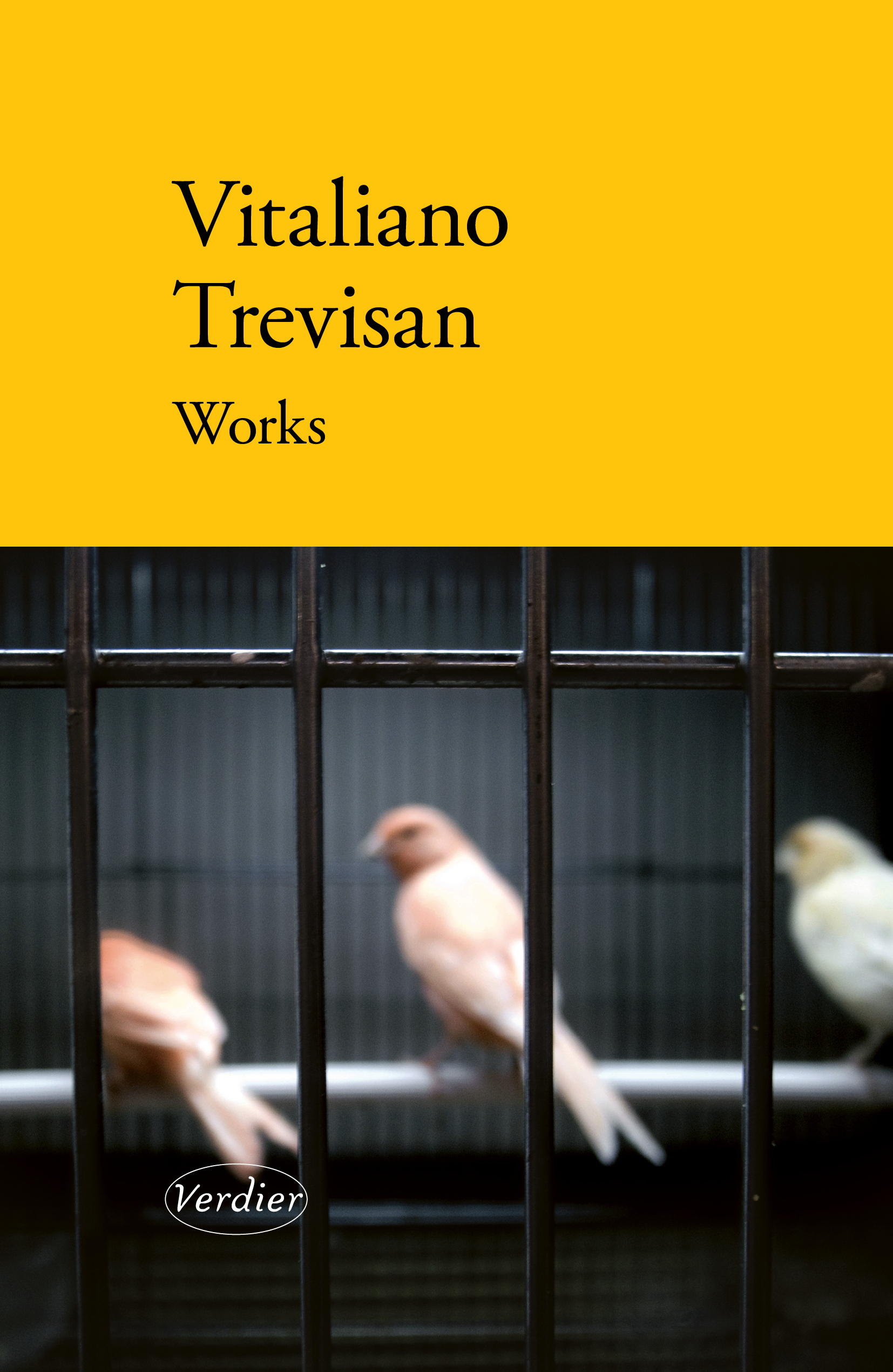 Works - Vitaliano Trevisan - VERDIER