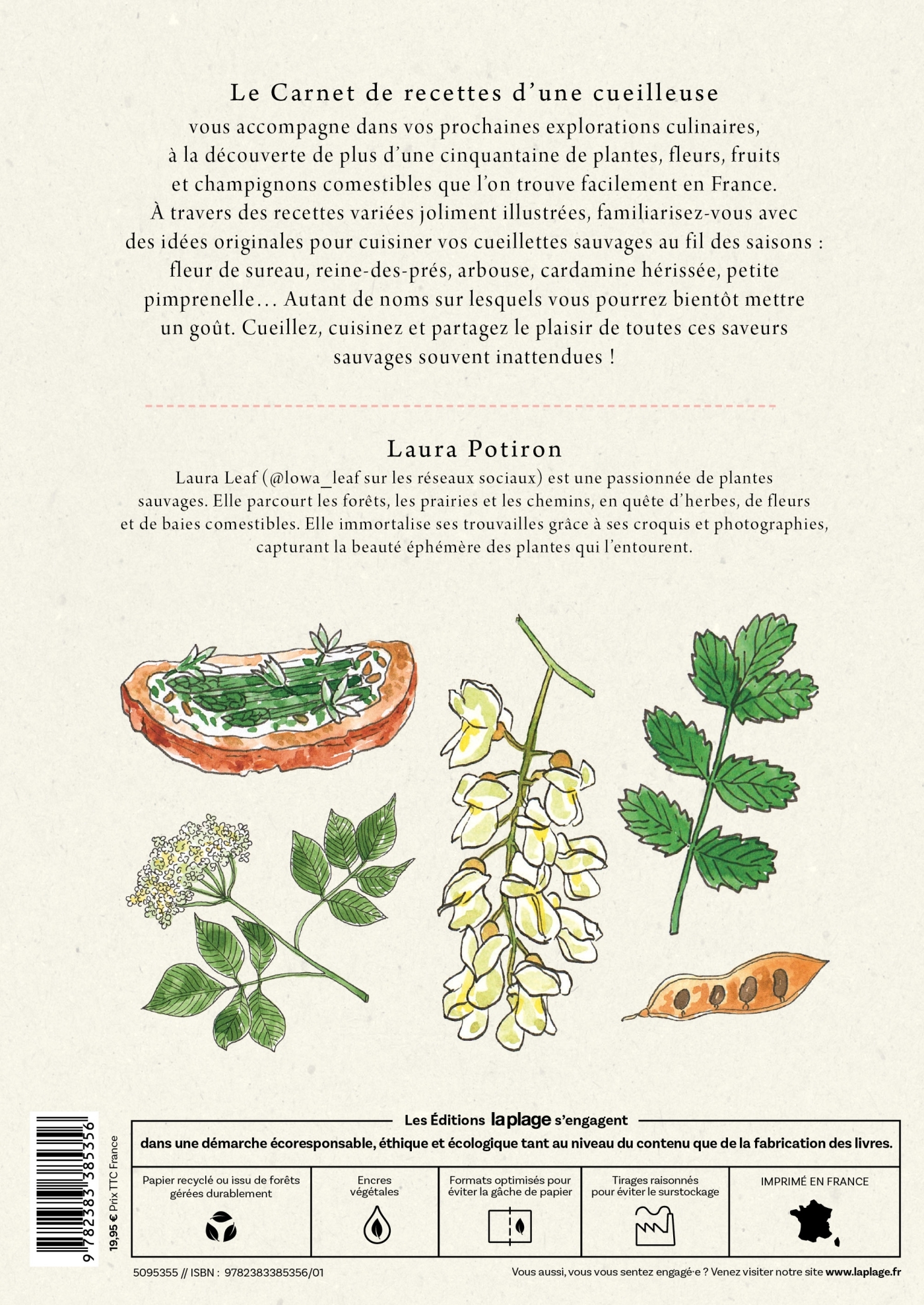 Le carnet de recettes d'une cueilleuse - Laura Leaf, Laura Potiron - LA PLAGE