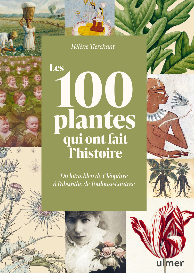 Les 100 plantes qui ont fait l'histoire - Du lotus bleu de Cléopâtre à l'absinthe de Toulouse-Lautrec - Hélène Tierchant - ULMER