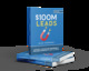 $100M leads - alex hormozi - LE NETWORKER