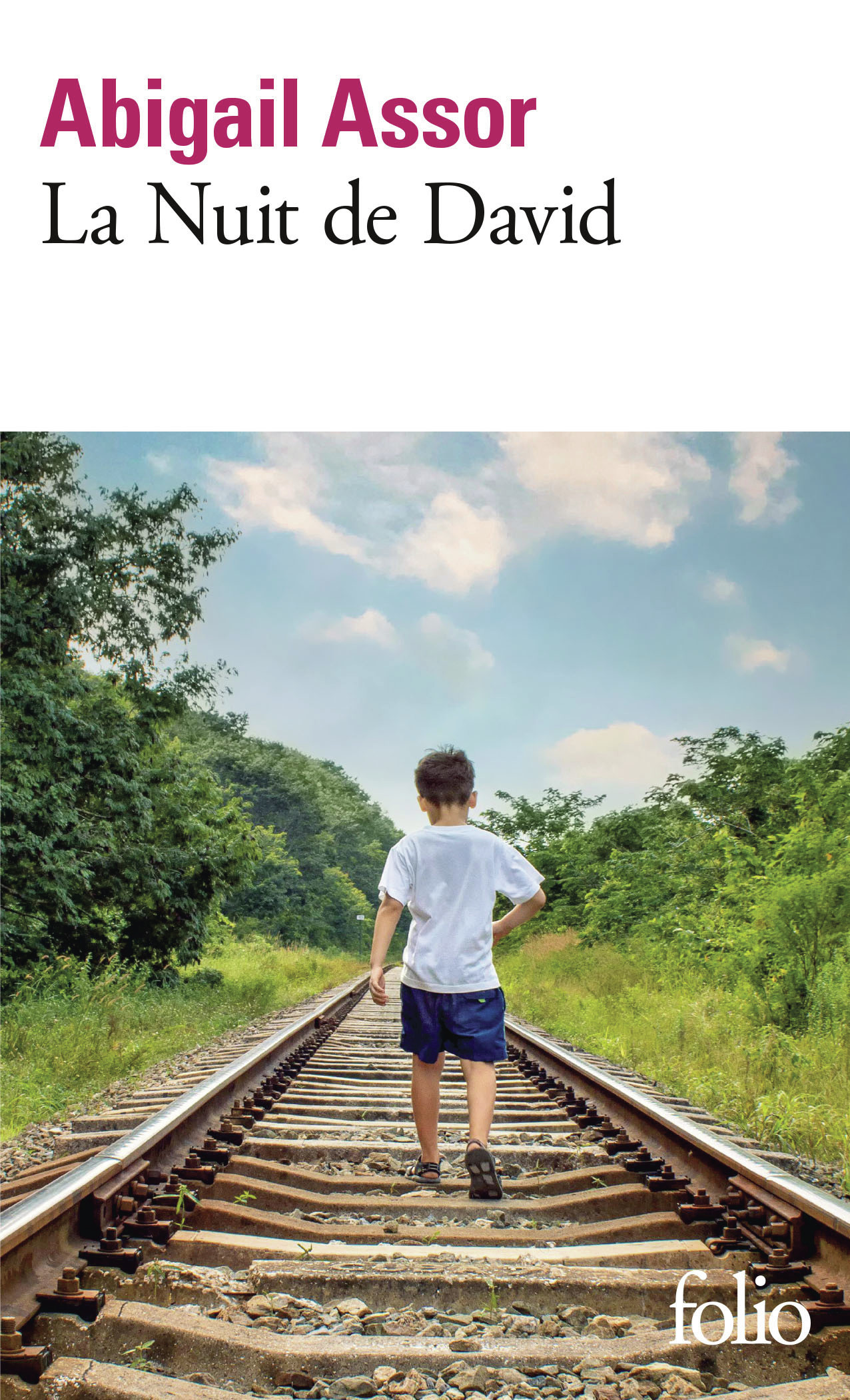 La Nuit de David - Abigail Assor - FOLIO