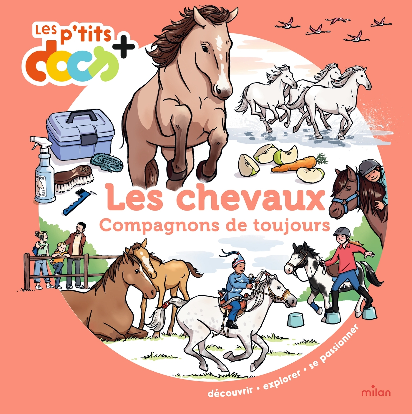 Les chevaux - Stéphanie Ledu - MILAN