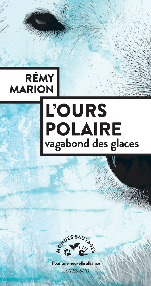 L'ours polaire - Rémy Marion - ACTES SUD