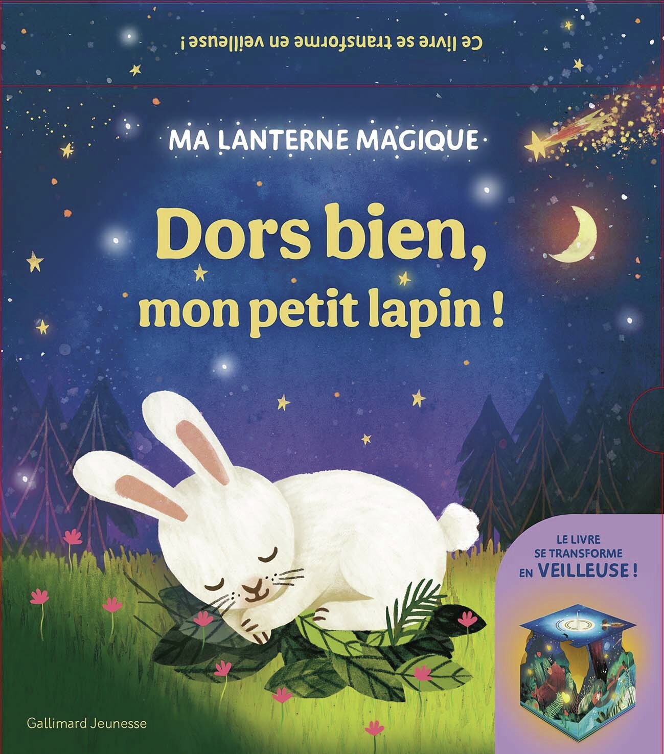 Ma lanterne magique - Dors bien, mon petit lapin ! - Carmen Saldaña, Johnny Barr - GALLIMARD JEUNE