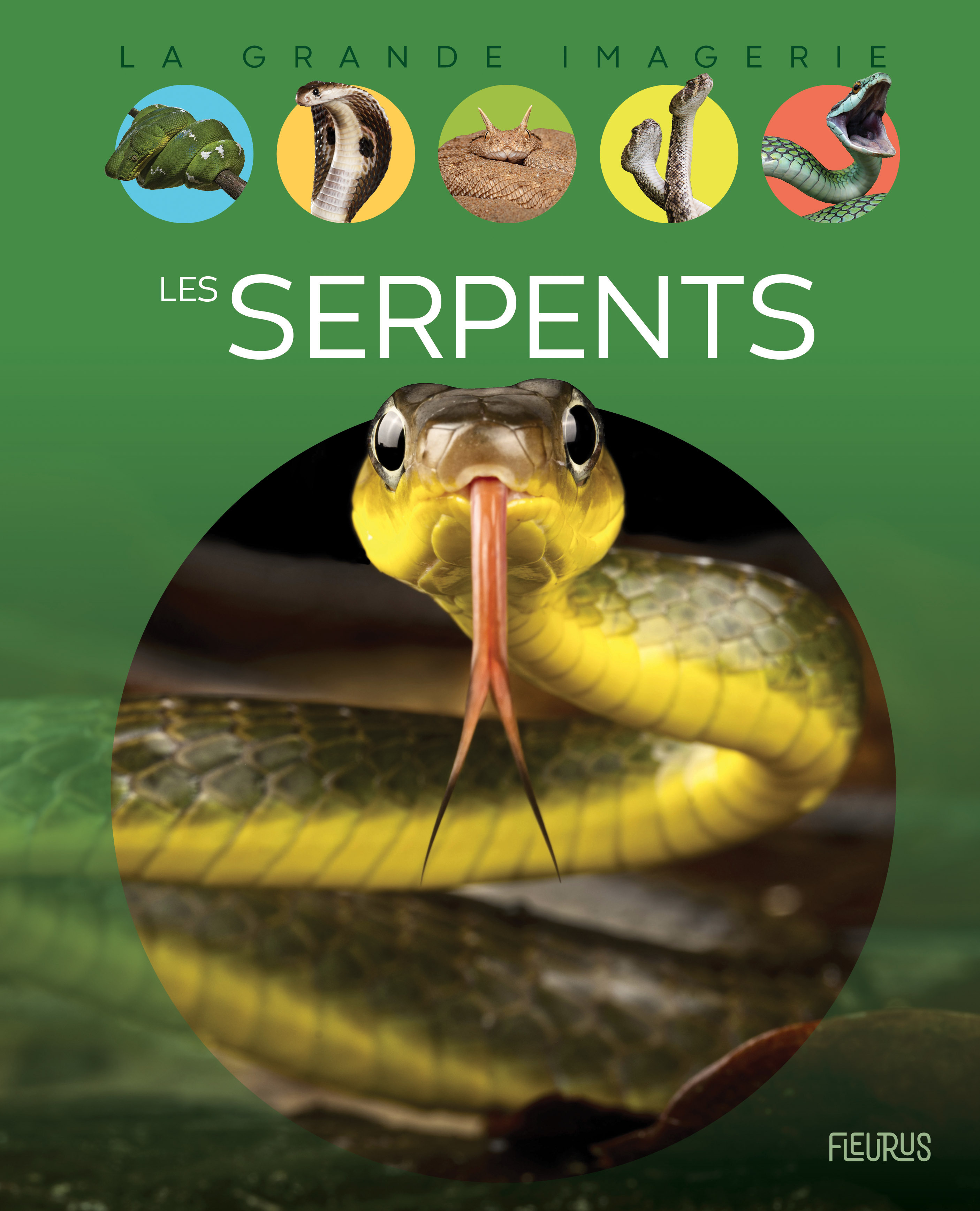 Les serpents - Cathy Franco - FLEURUS