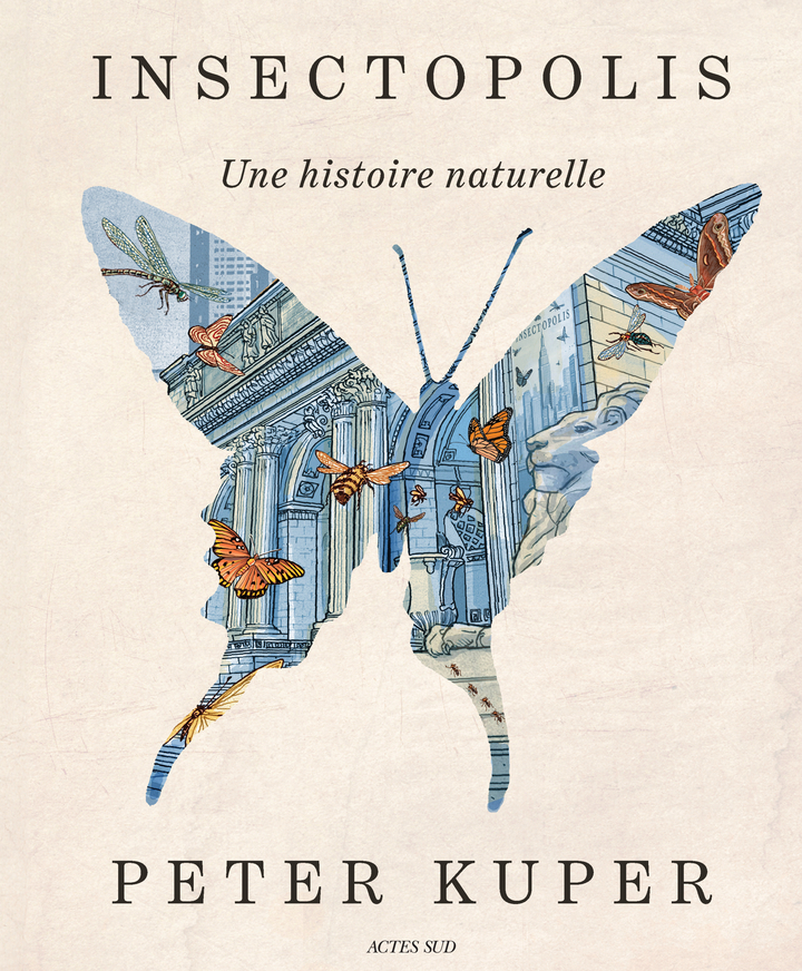 Insectopolis - Peter Kuper - ACTES SUD