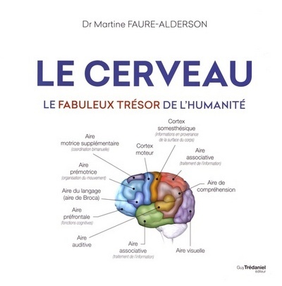 Le cerveau - Le fabuleux trésor de l'humanité - Martine Faure-Alderson - TREDANIEL