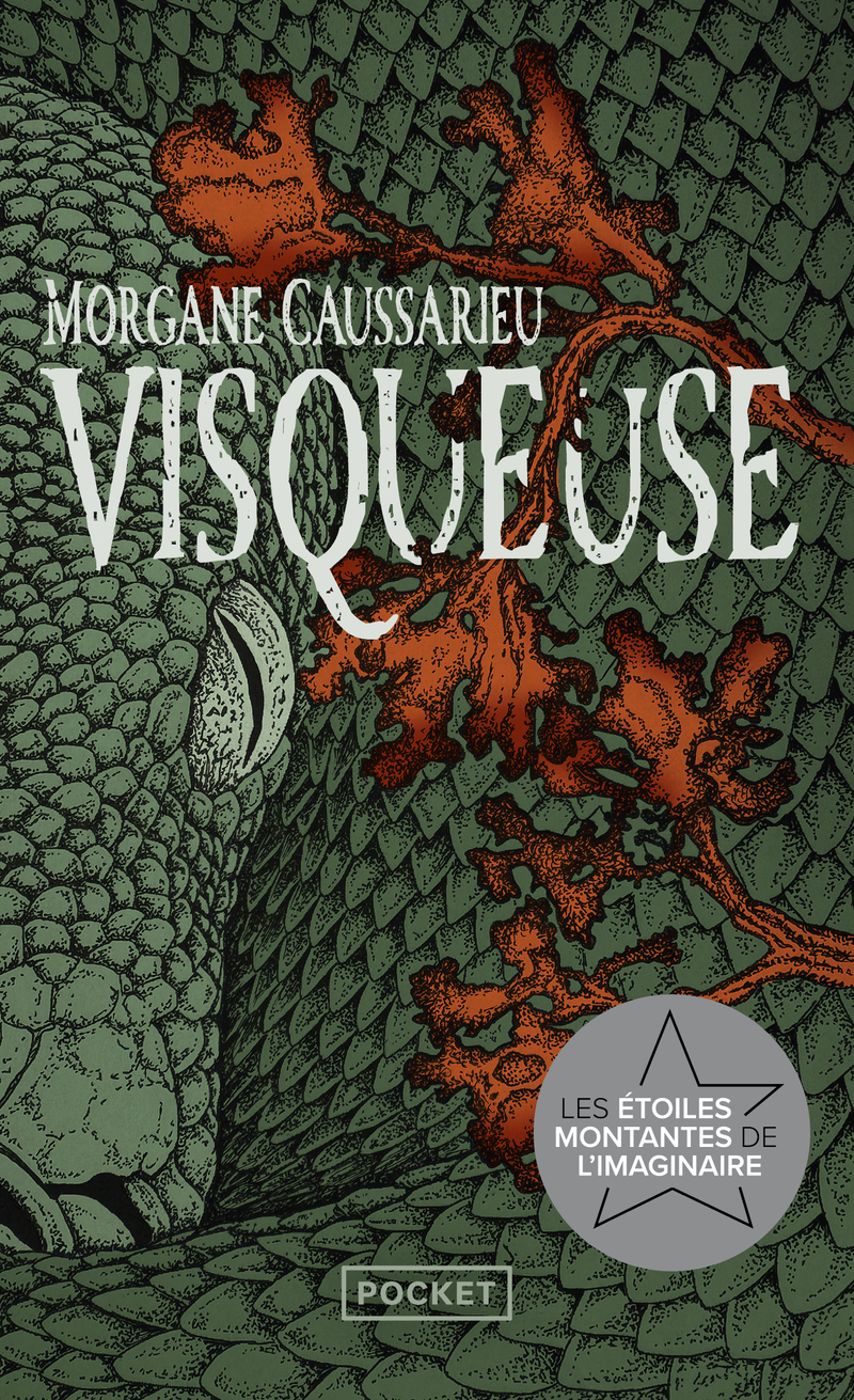 Visqueuse - Morgane  Caussarieu - POCKET