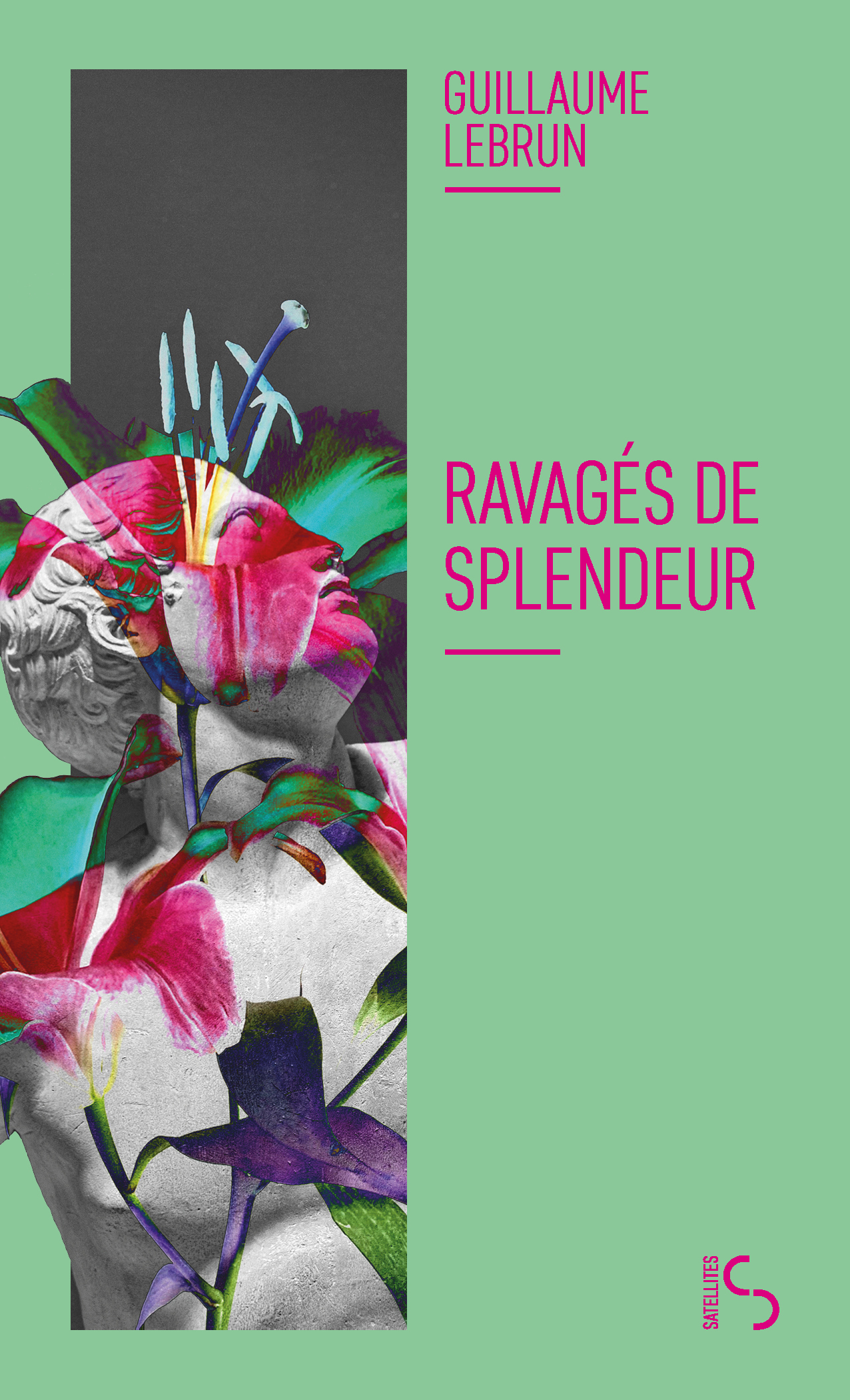 Ravagés de splendeur - Guillaume Lebrun - BOURGOIS