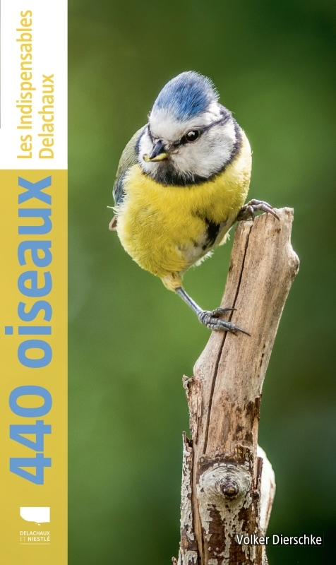 440 oiseaux - Volker Dierschke,  Kosmos Verlag GMBH - DELACHAUX