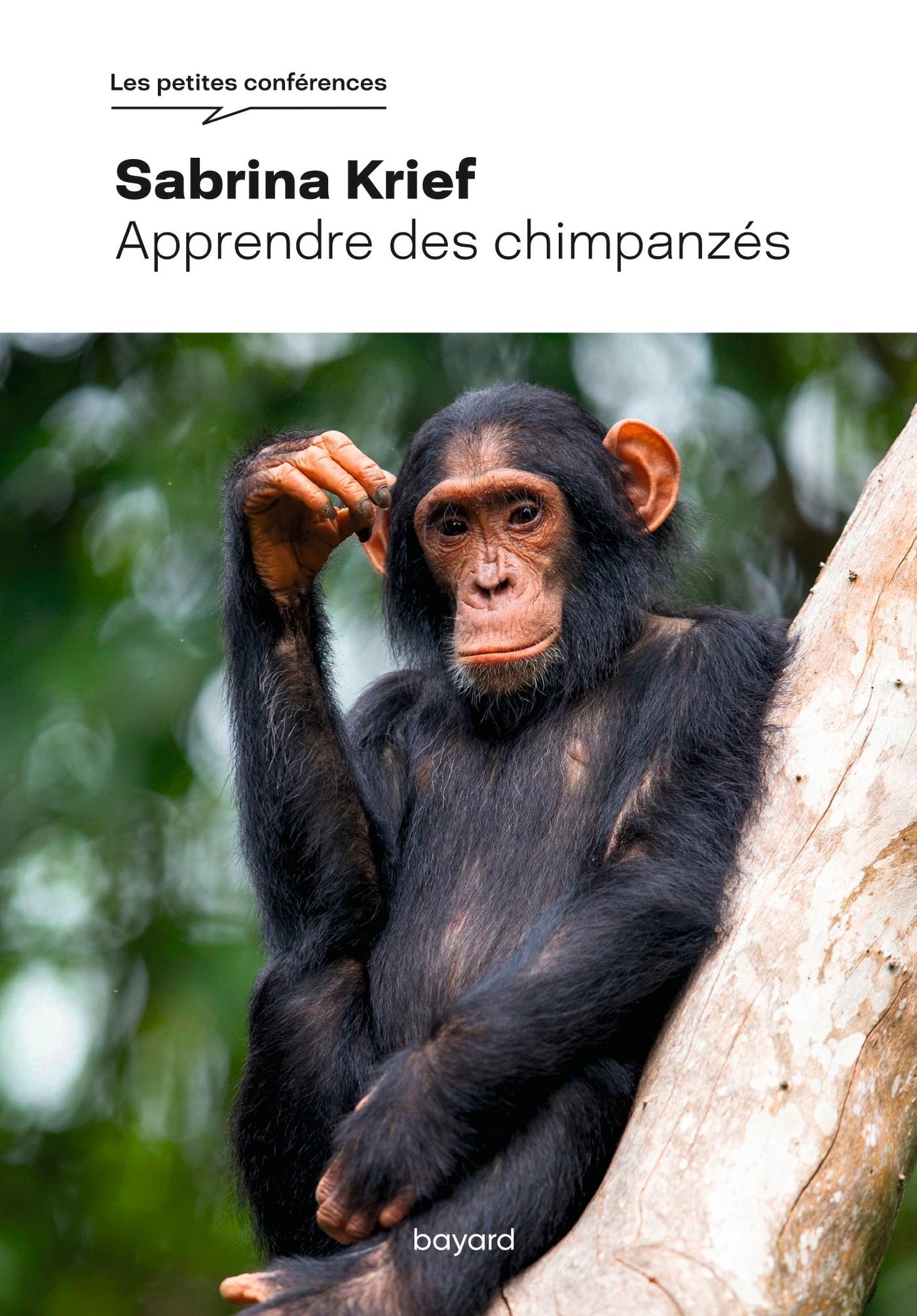 Apprendre des chimpanzés - Sabrina Krief, Jean-Michel Krief - BAYARD ADULTE