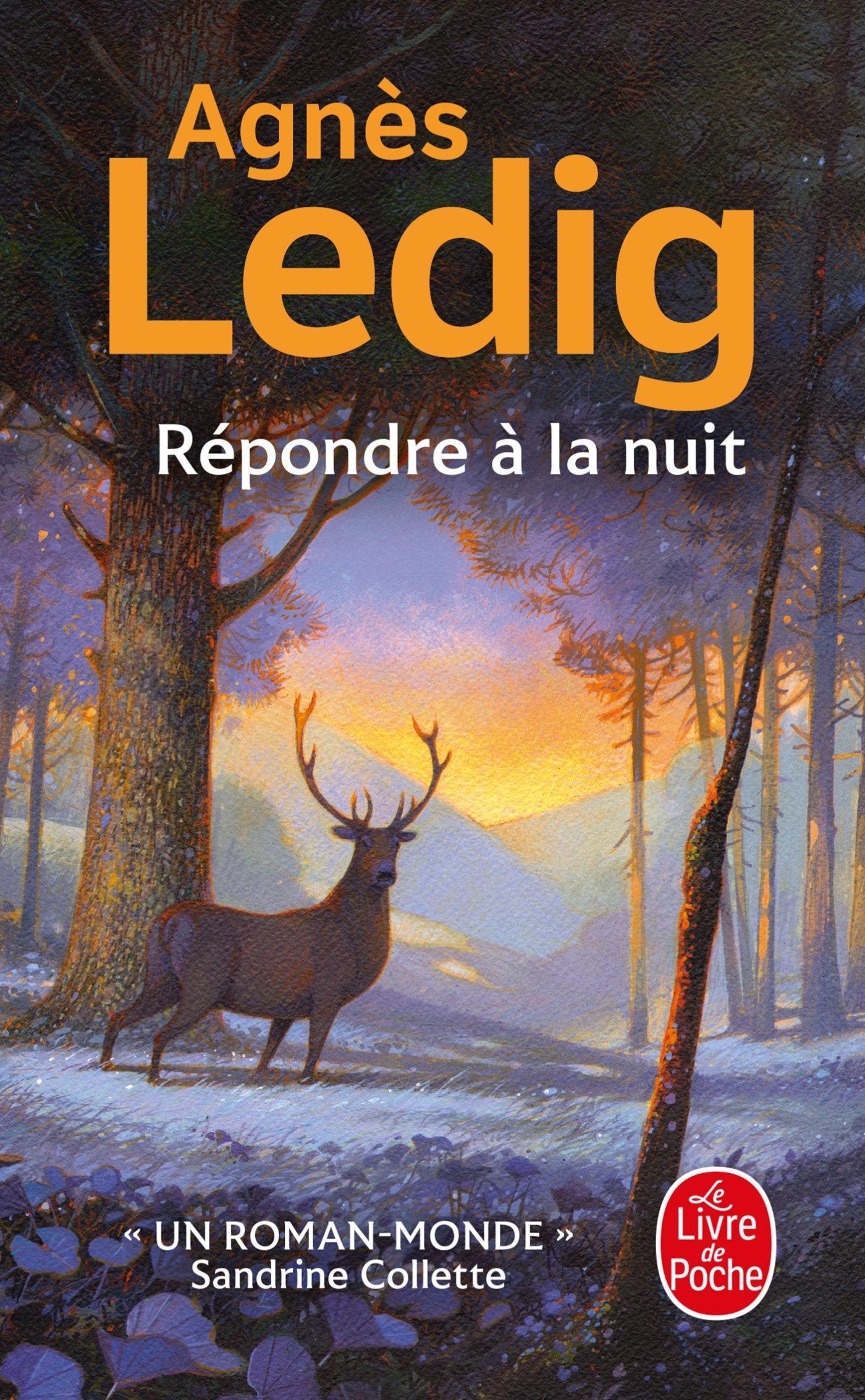 Répondre à la nuit - Agnès Ledig - LGF