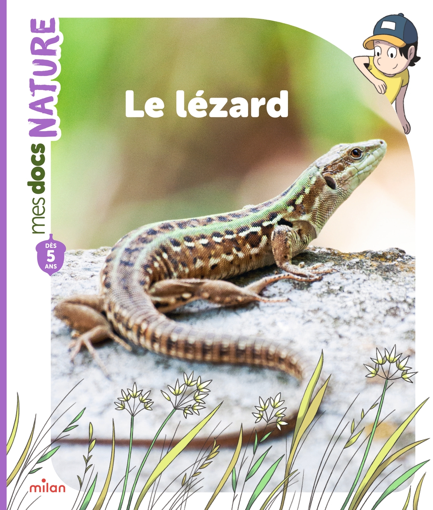 Le lézard - Stéphanie Ledu - MILAN