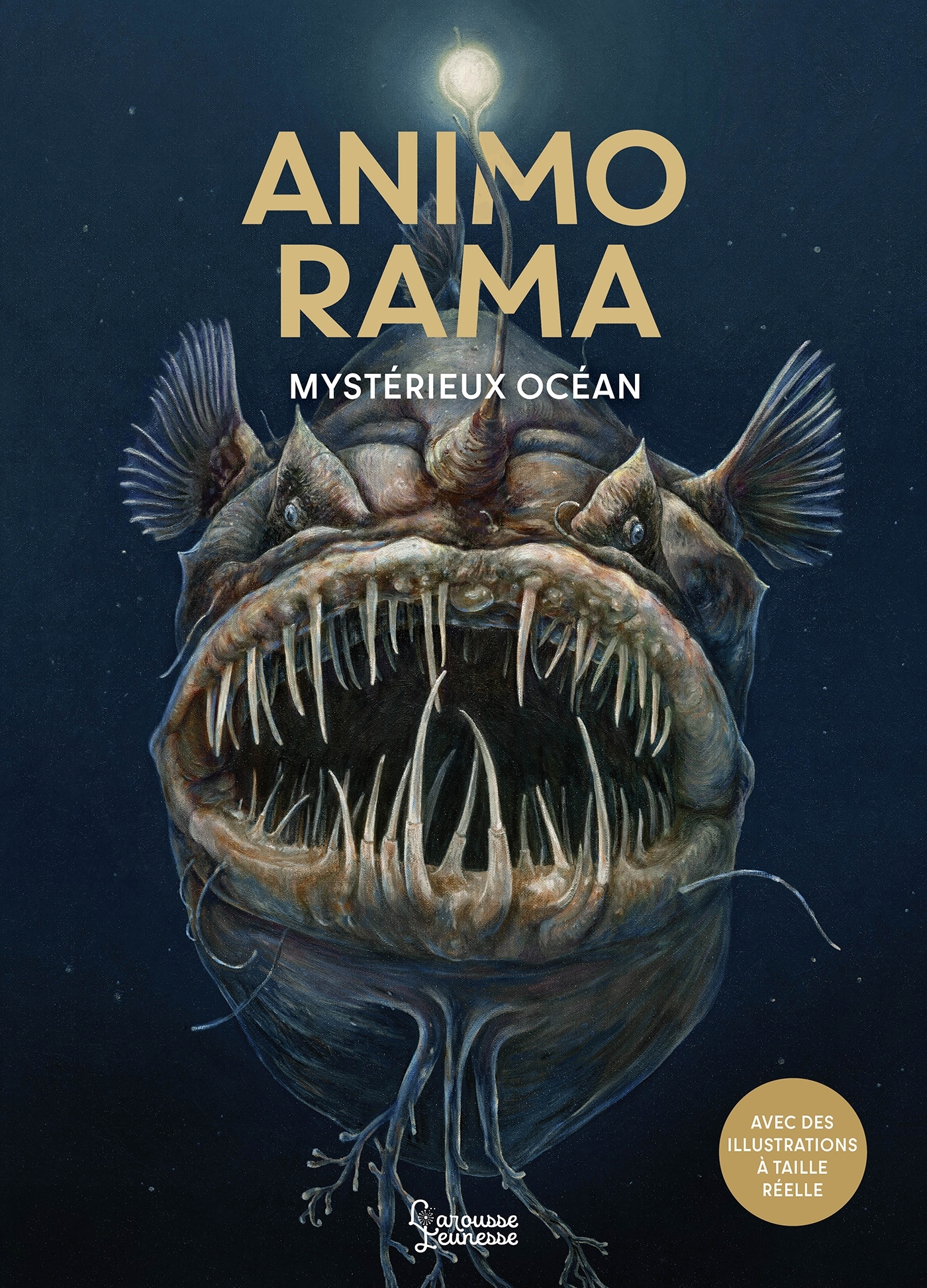 ANIMO RAMA Mystérieux Océan -  Holger Haag - LAROUSSE