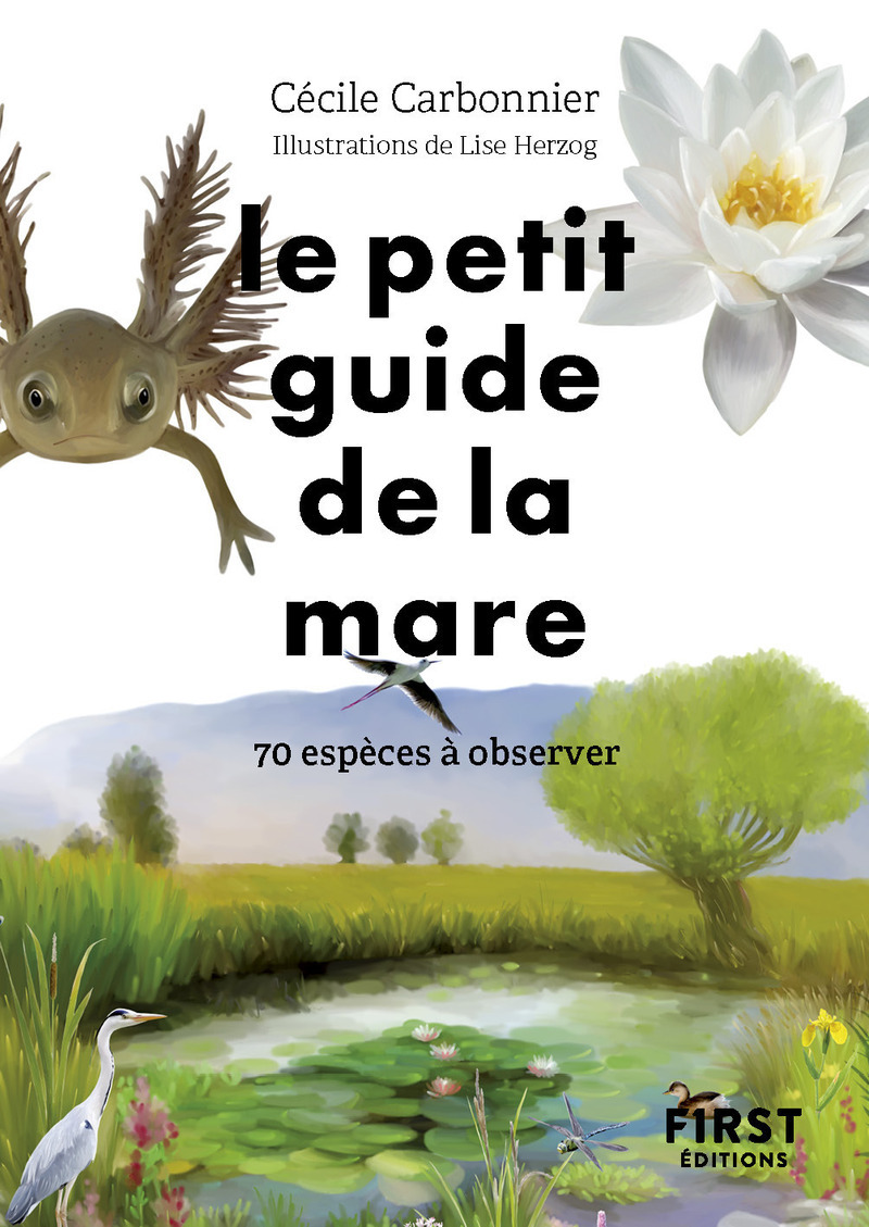 Le Petit Guide de la mare - Cécile Carbonnier - FIRST
