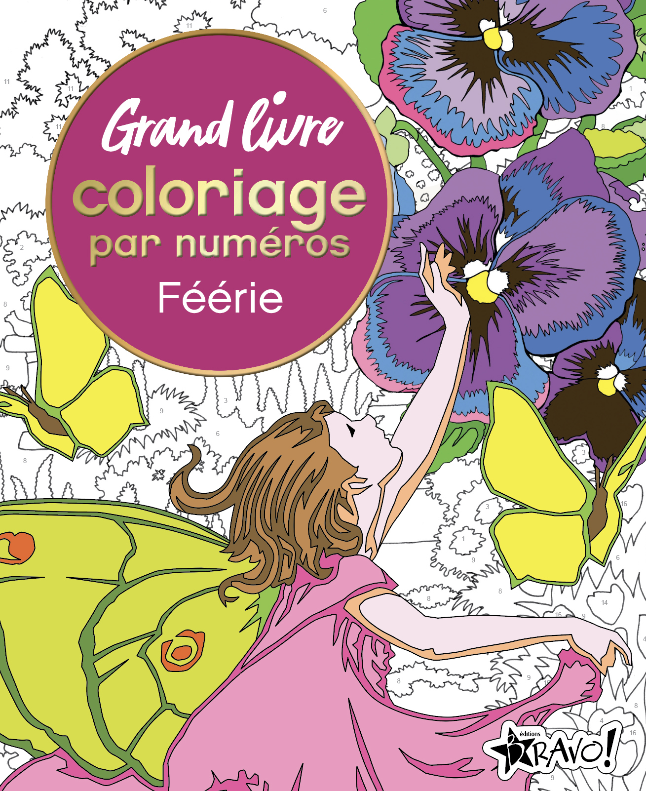 Grand livre coloriage par numéros - Féérie - David Woodroffe, Else Lennox - BRAVO