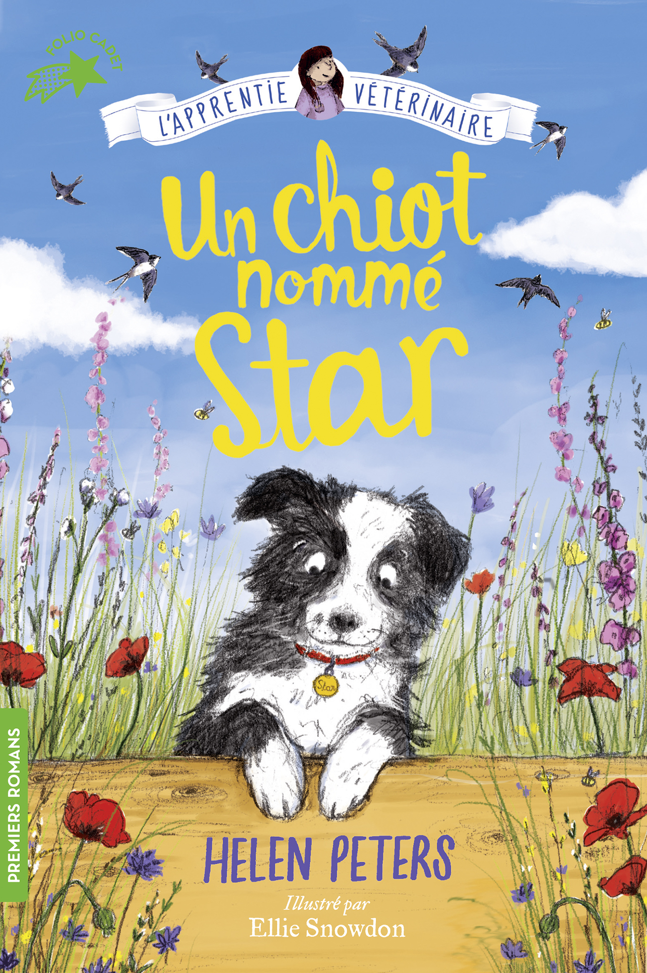 Un chiot nommé Star - Helen Peters - GALLIMARD JEUNE