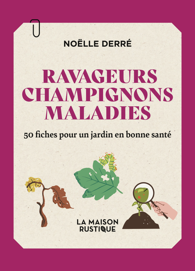 Ravageurs, champignons, maladies - Noëlle DERRE - MAISON RUSTIQUE