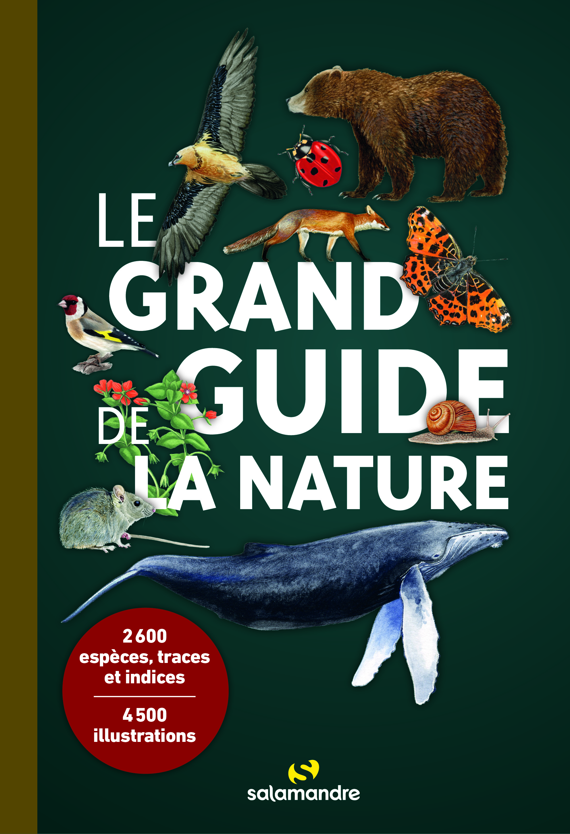 Le grand guide de la nature -  Collectif - LA SALAMANDRE