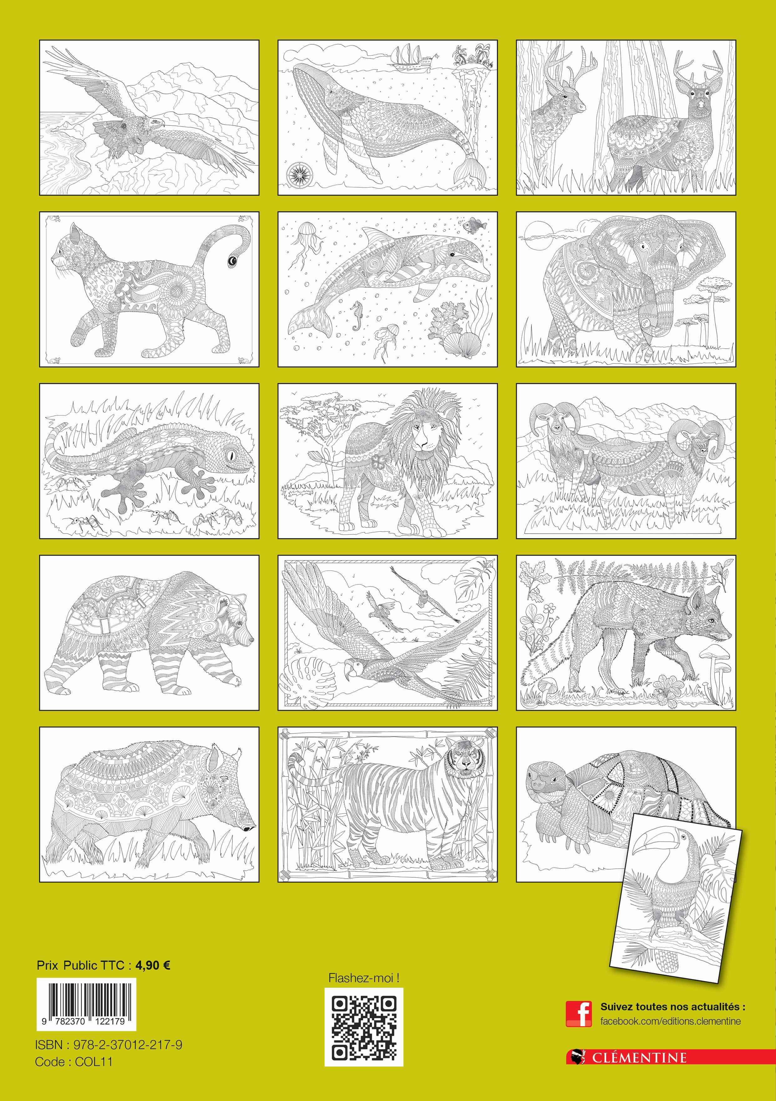 Livre de coloriage adulte -  - CLEMENTINE