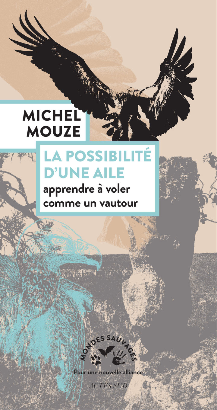 La possibilité d'une aile - Michel Mouze - ACTES SUD