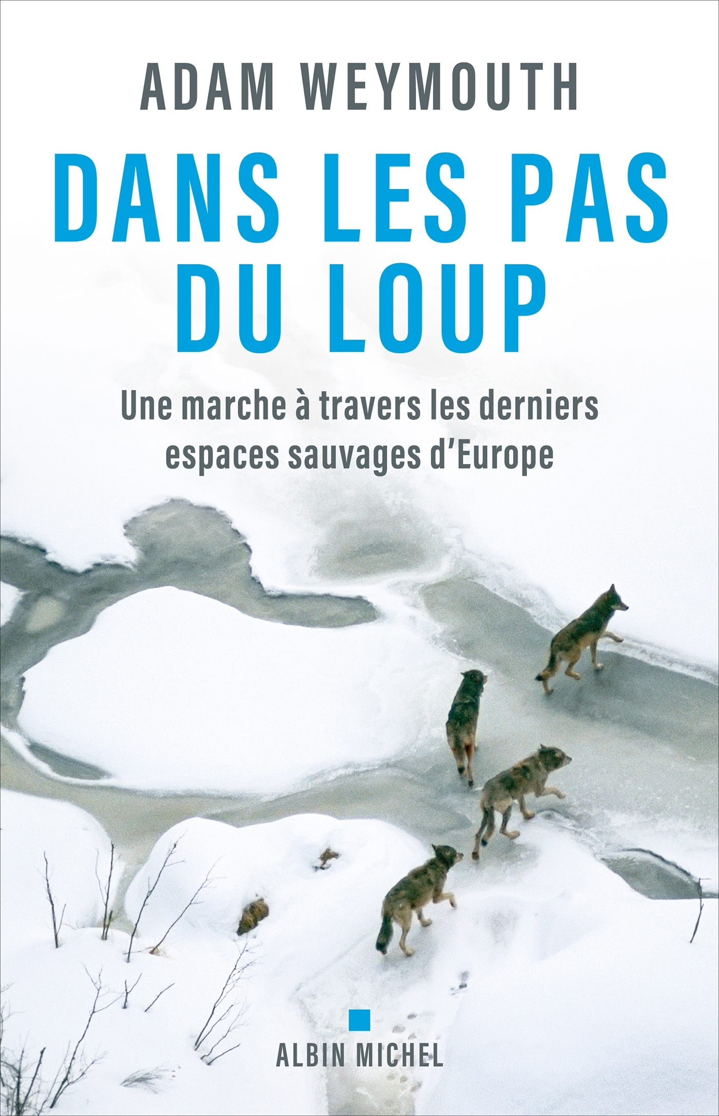 Dans les pas du loup - Adam Weymouth - ALBIN MICHEL